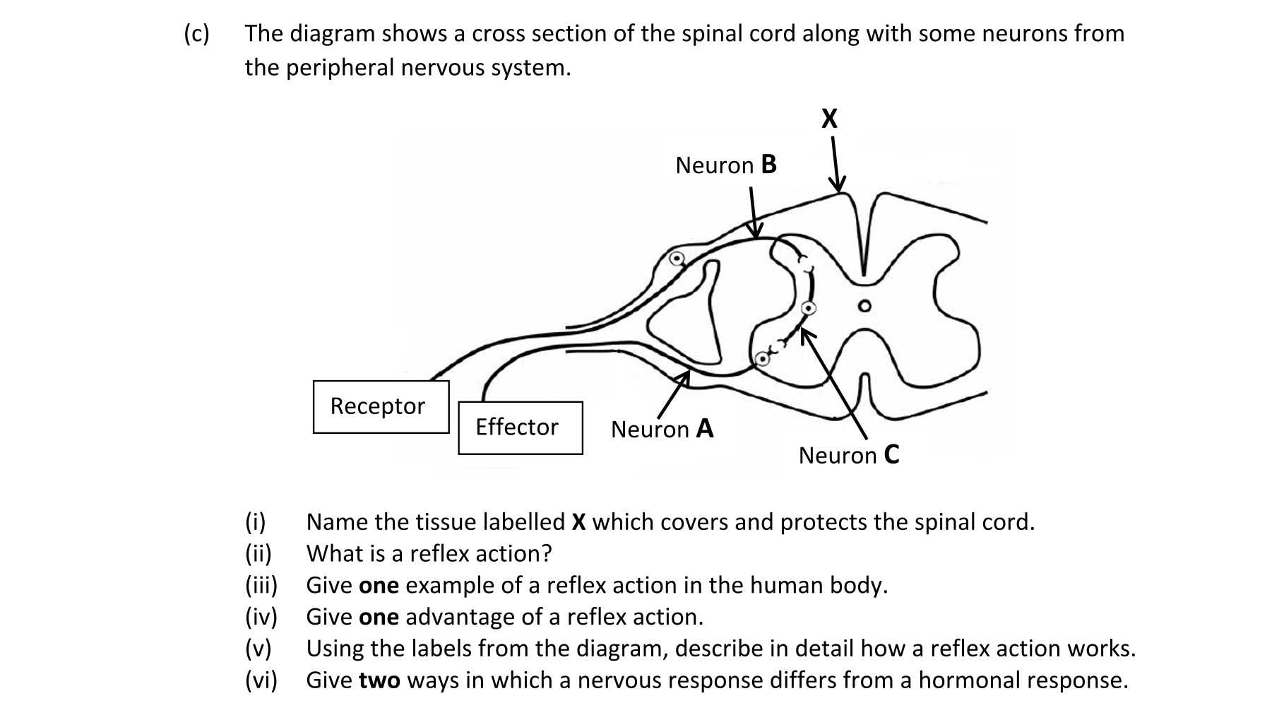Question e0fc02b8-bcb7-40b3-ad23-4bca78d5efad