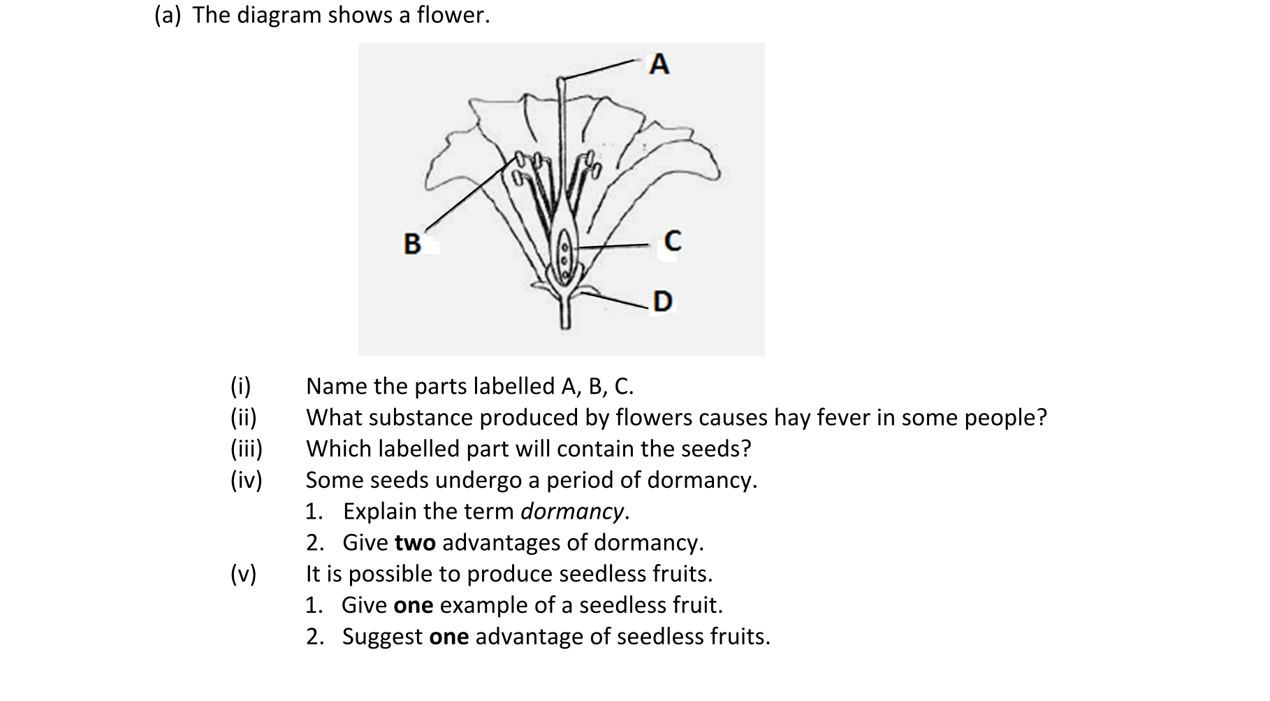 Question 15c5a541-c45e-4cb5-af0b-196afb57e905