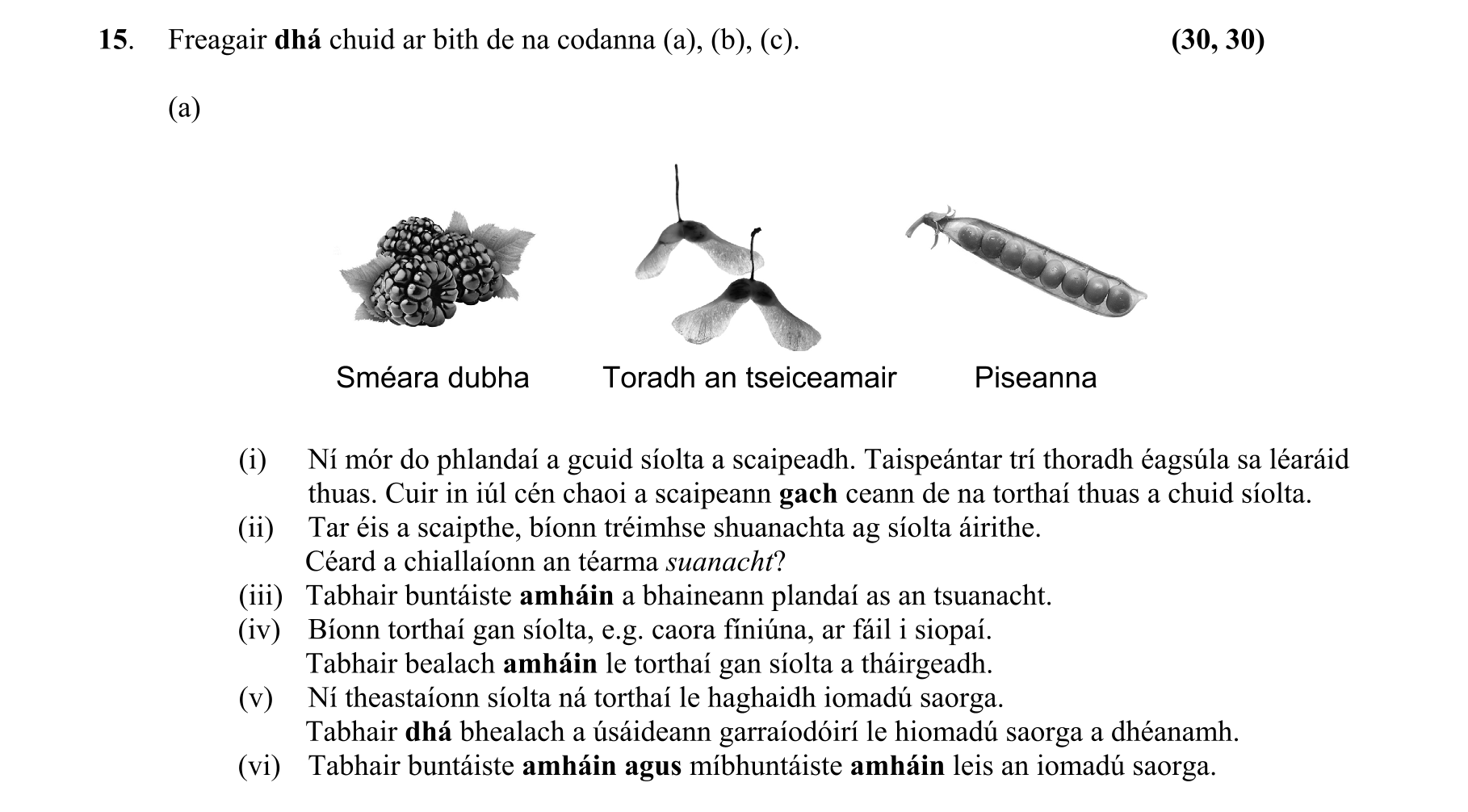 Question 6672f45a-c5d4-448b-b0ef-1d40643a722e