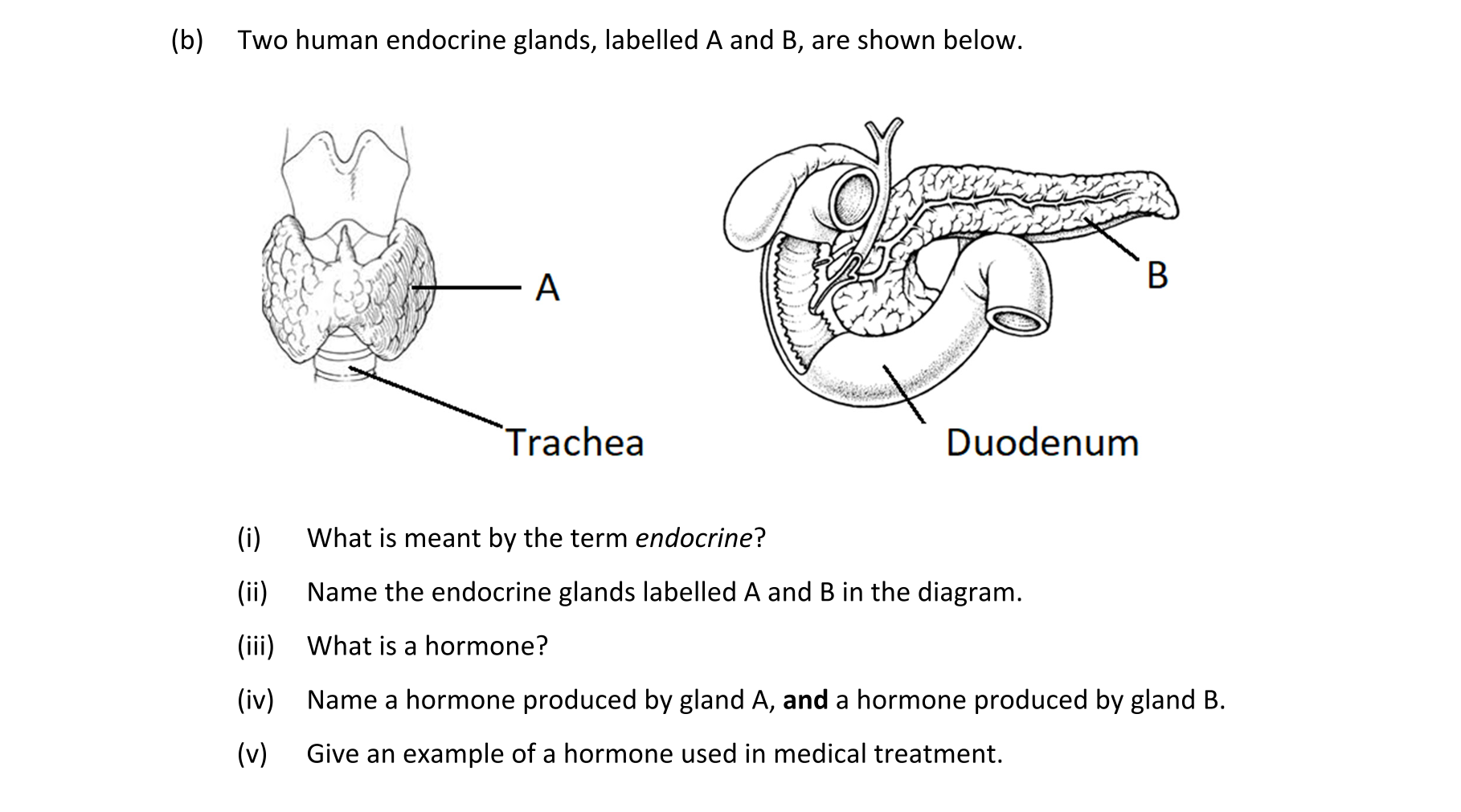 Question 80acae4a-242e-4ecf-945b-5dba4c975913