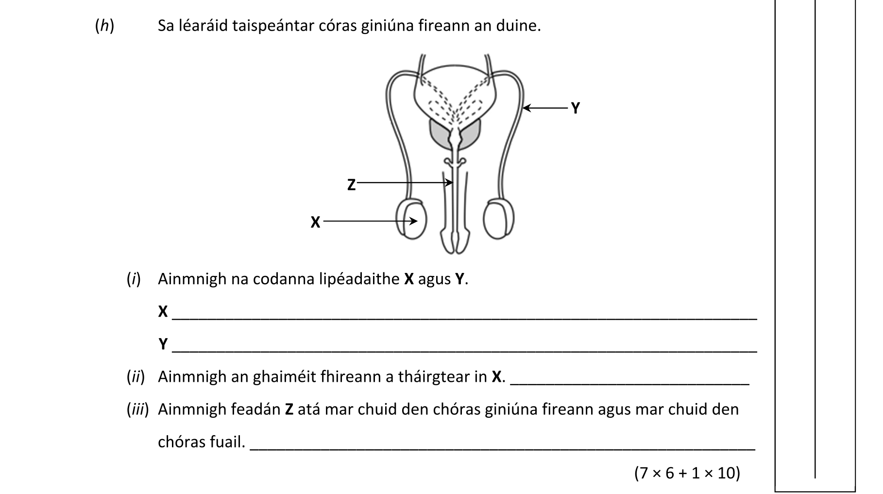 Question 01010376-cca6-46ab-8b42-9e8b442a092e