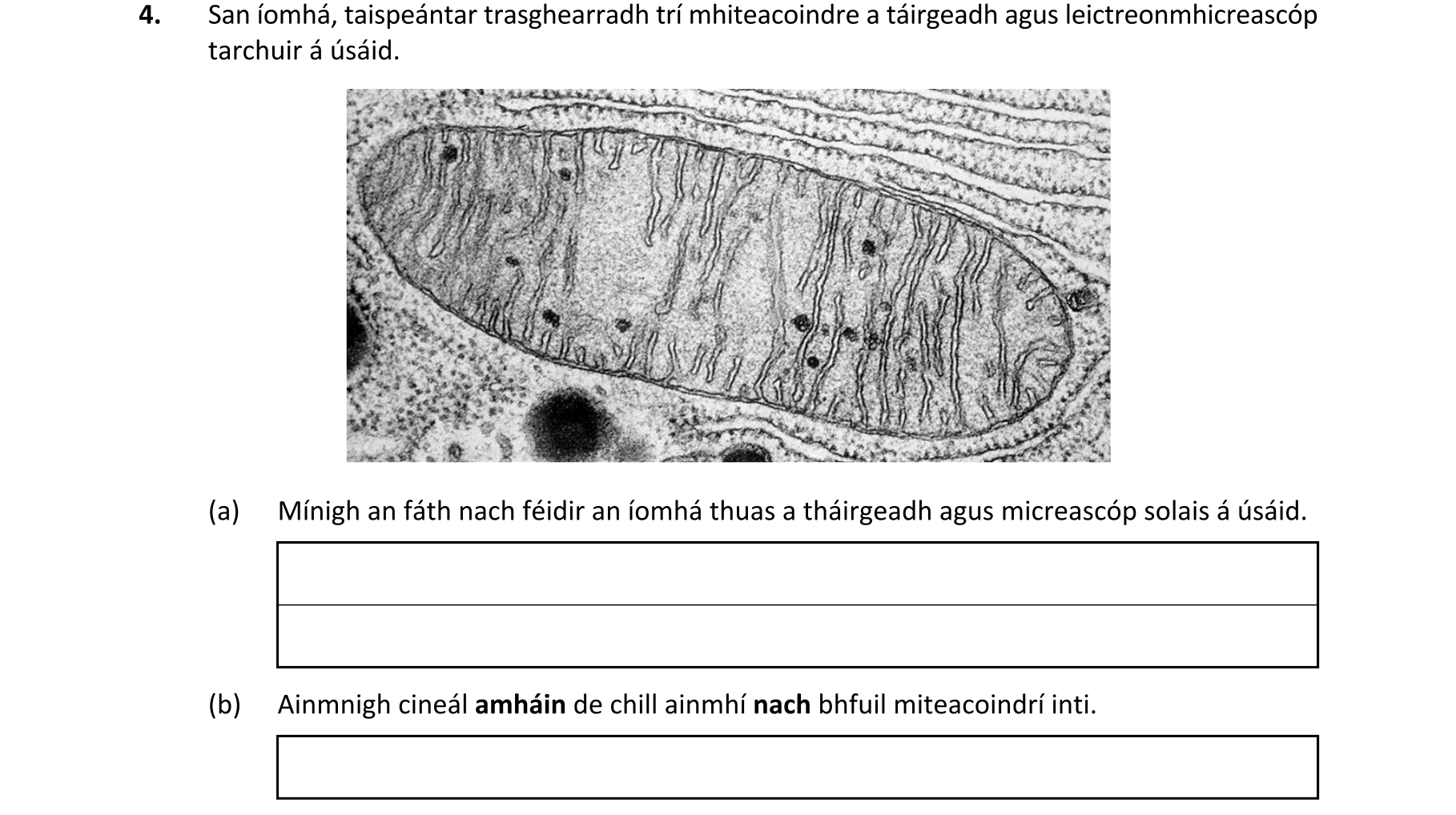 Question c36174ea-4bd7-484b-9c02-ed456613cb40