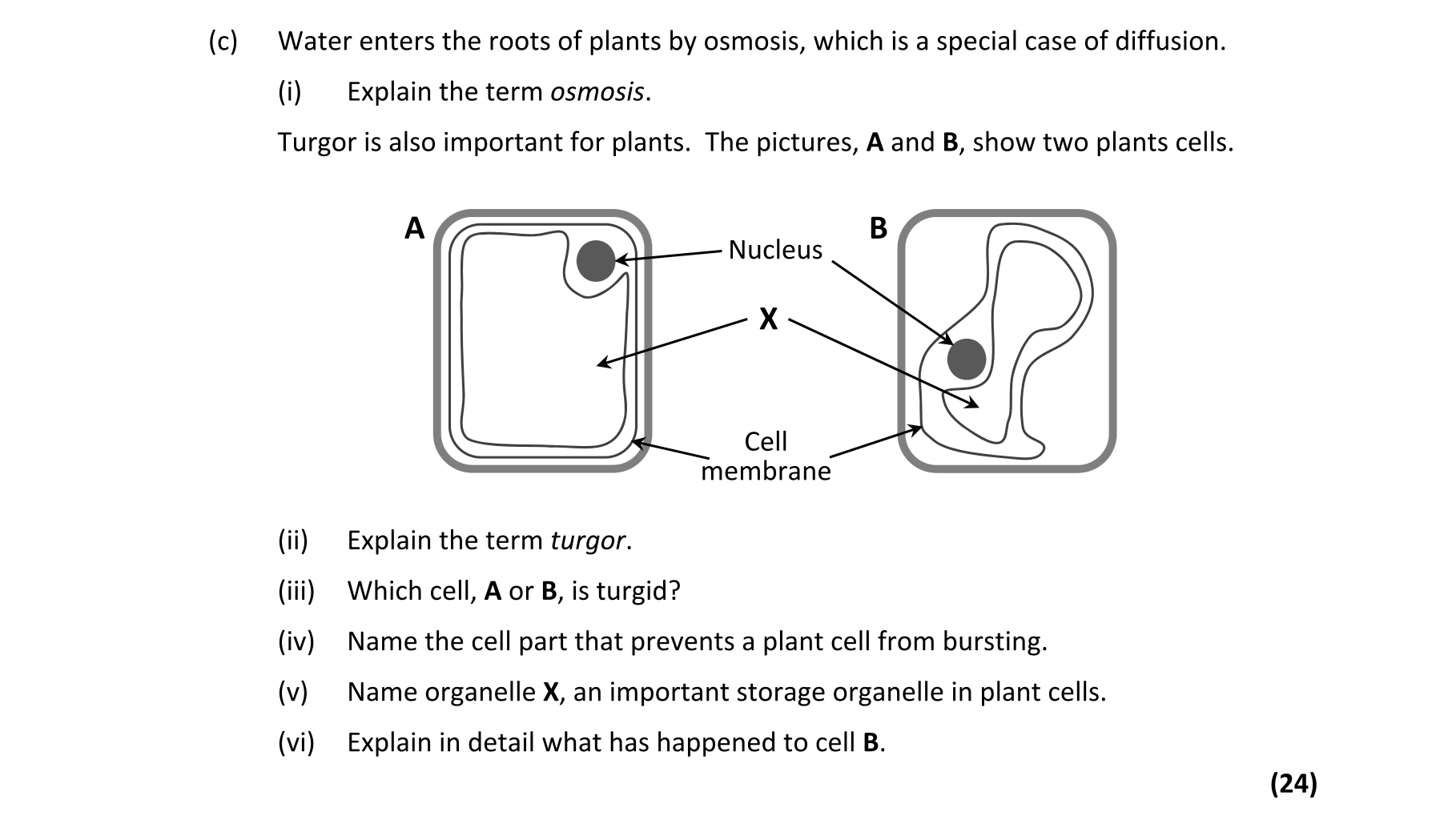 Question f58edd27-1685-4383-86db-177d37ae069e
