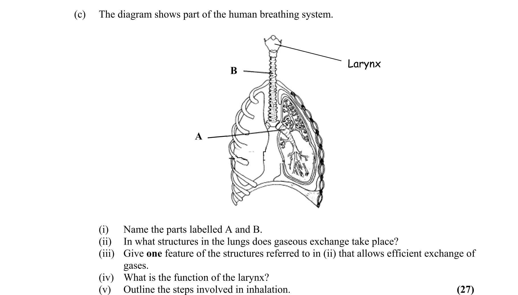 Question c46d701c-dbdd-4560-a50b-8e997b808d9a