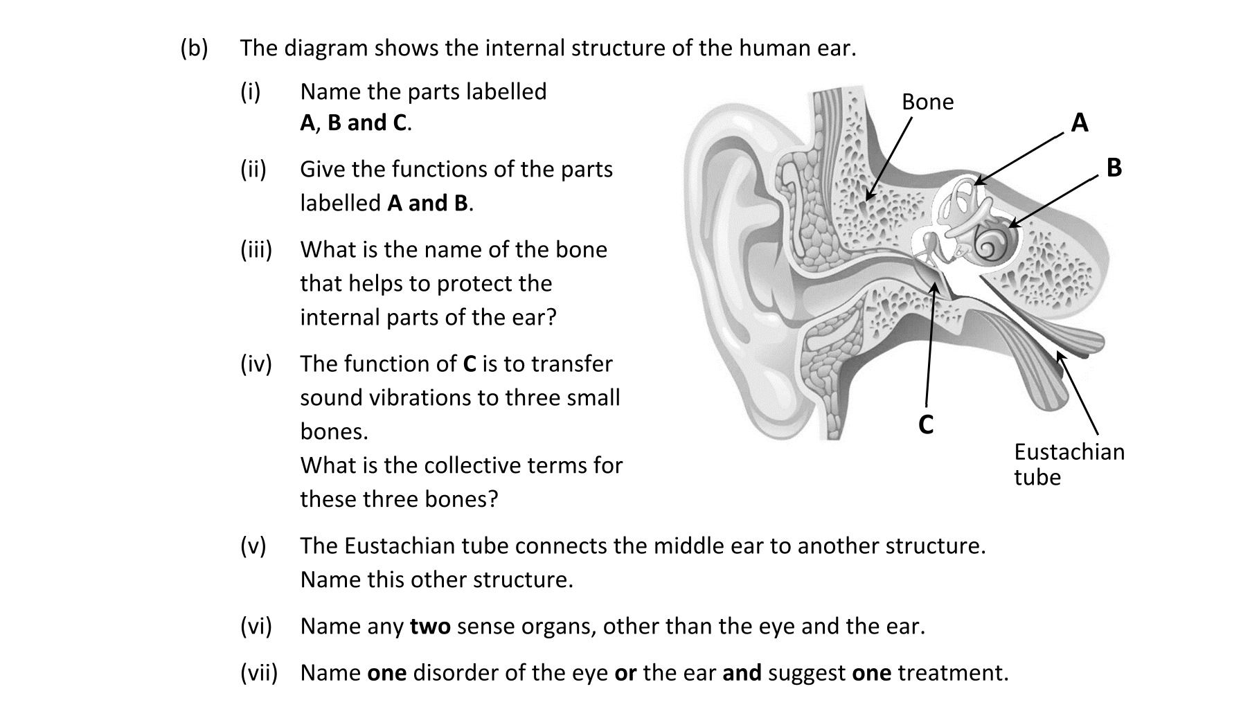 Question 90f18d35-ce29-4036-8003-f5d78656b1e8