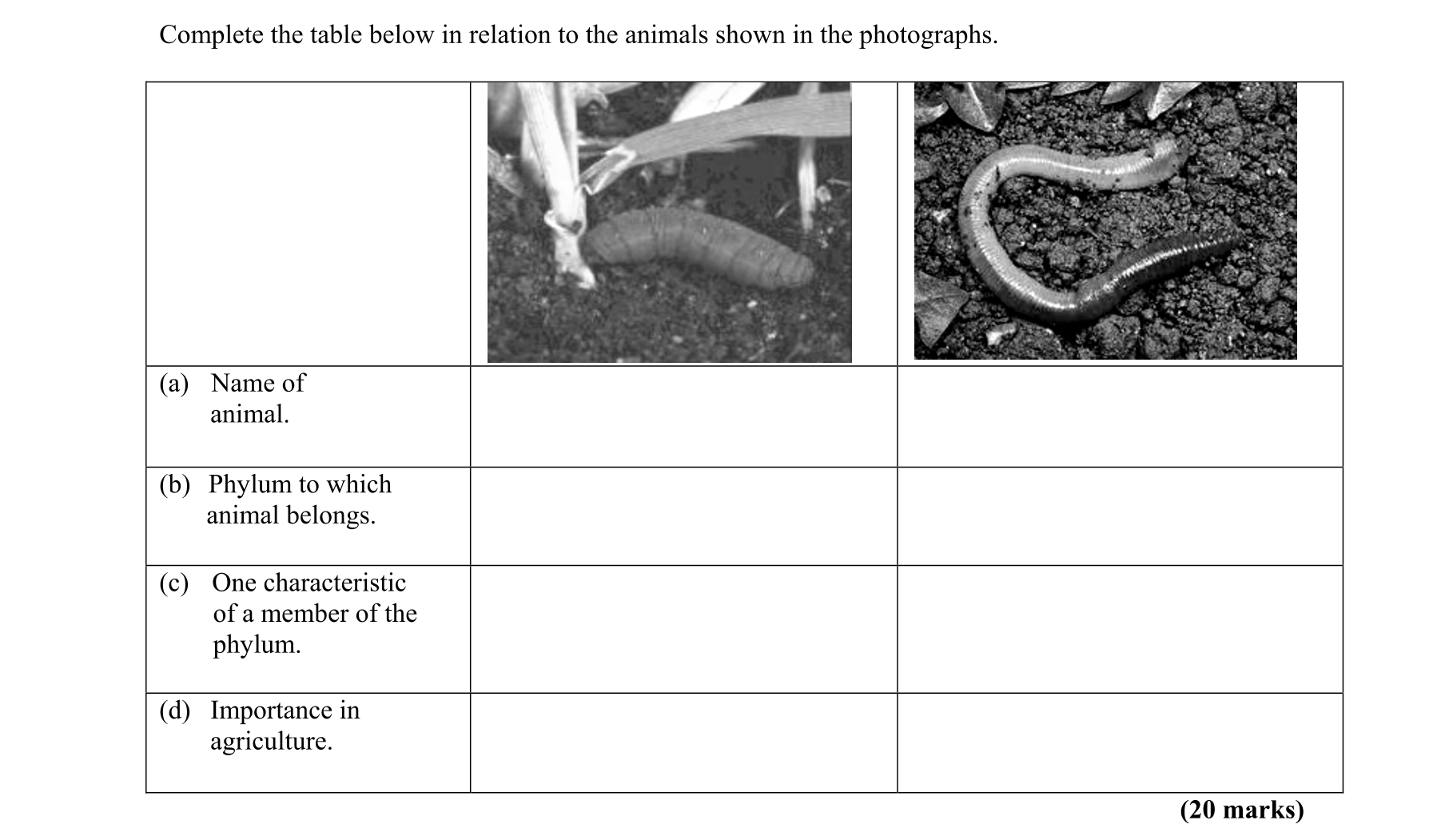 Question 7ec252d4-a62a-41af-b1ca-f77074c9dda8