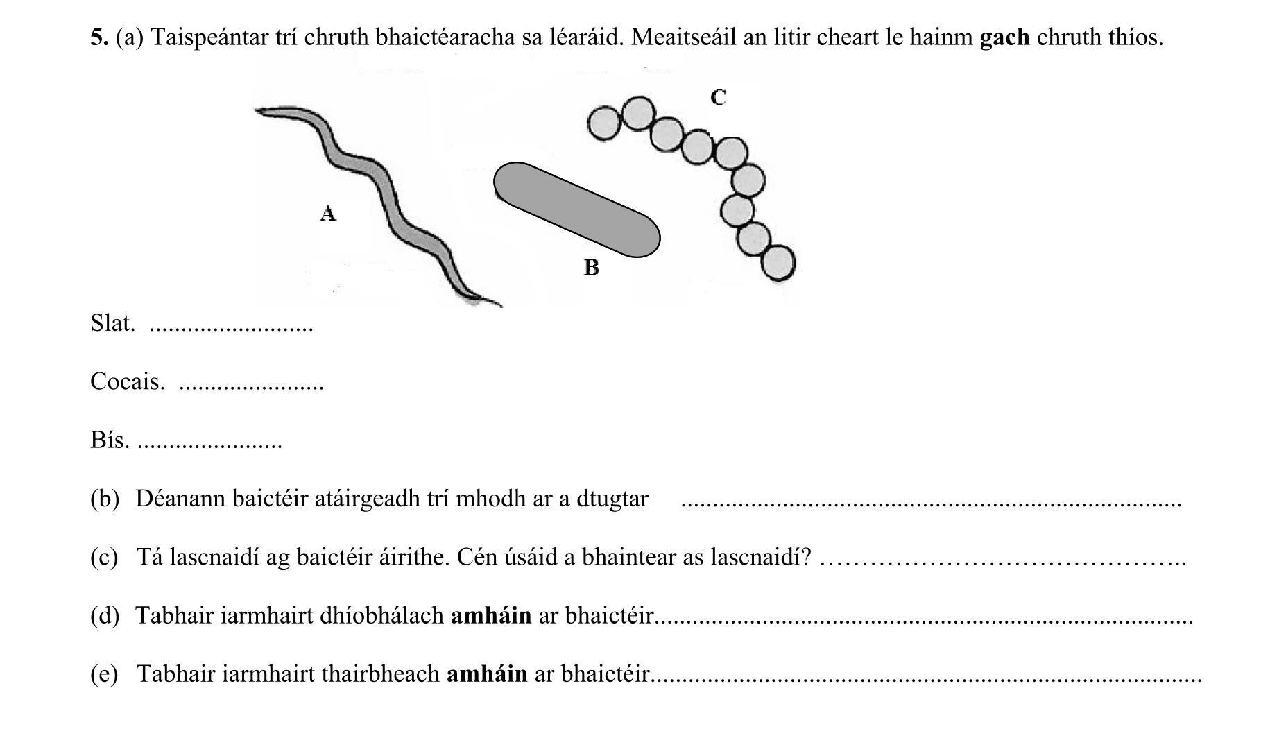 Question 941a2ba7-bf15-4982-a0d4-2727e9cc954d