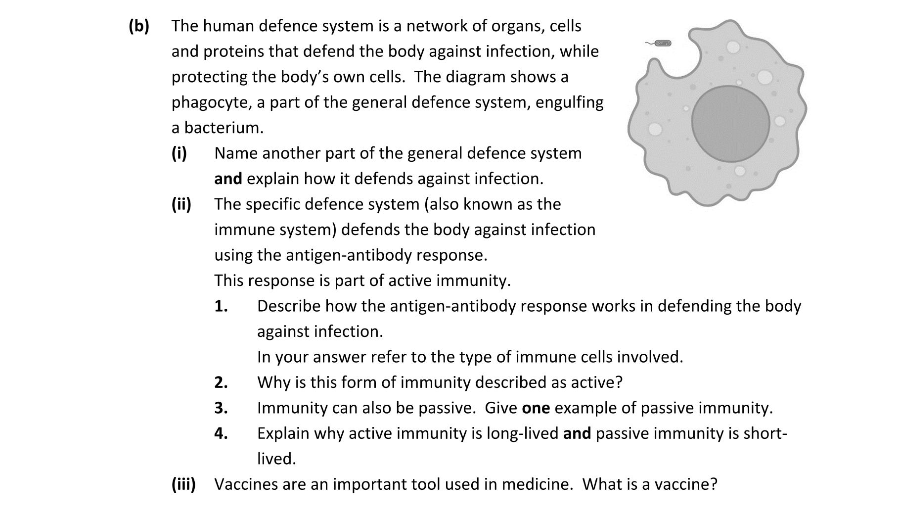 Question 8bd2256a-0f5e-4146-a4cf-127aec0d7be6