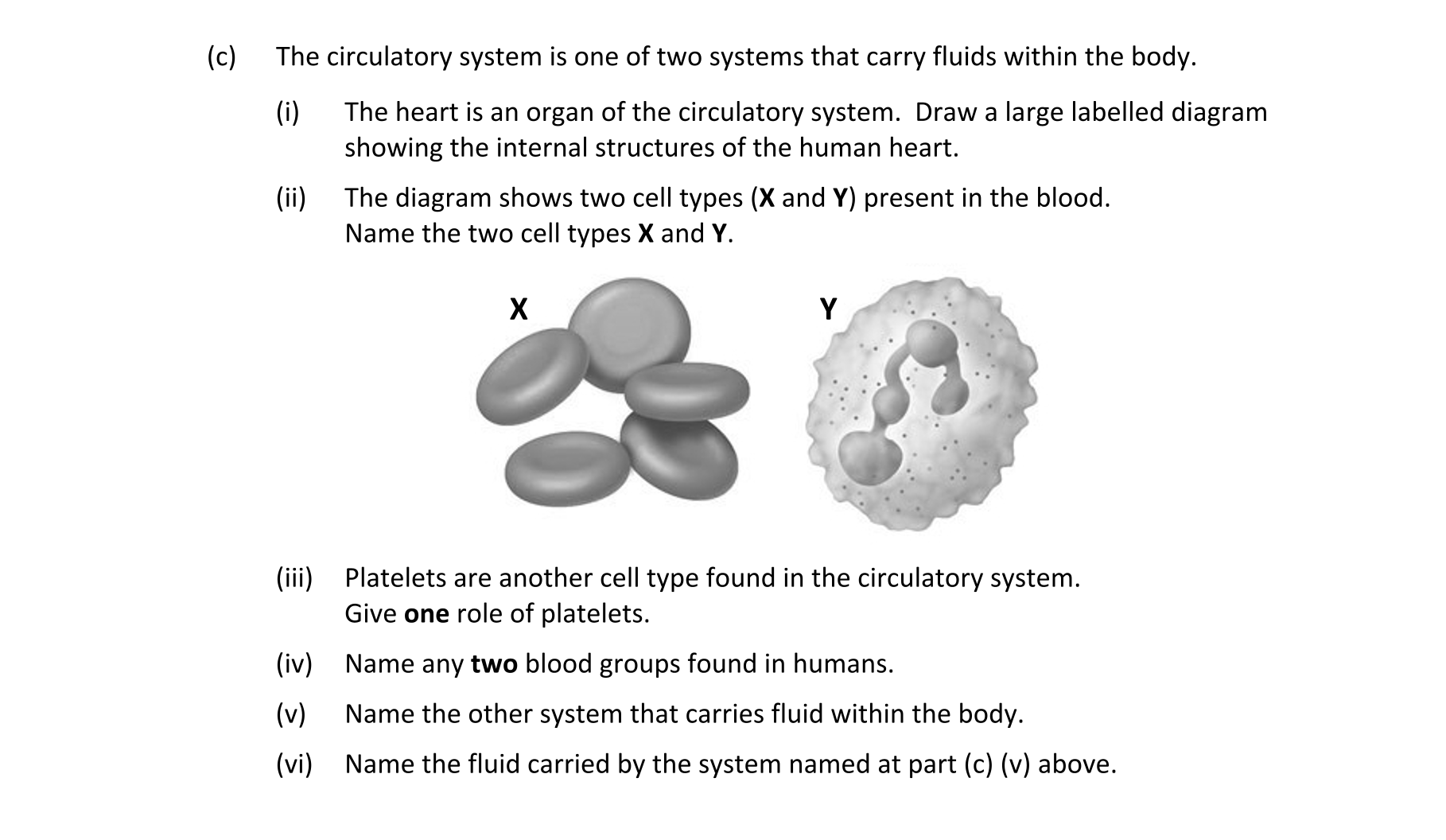 Question 1fe569ef-b85e-45c4-829c-acfb6b20e690