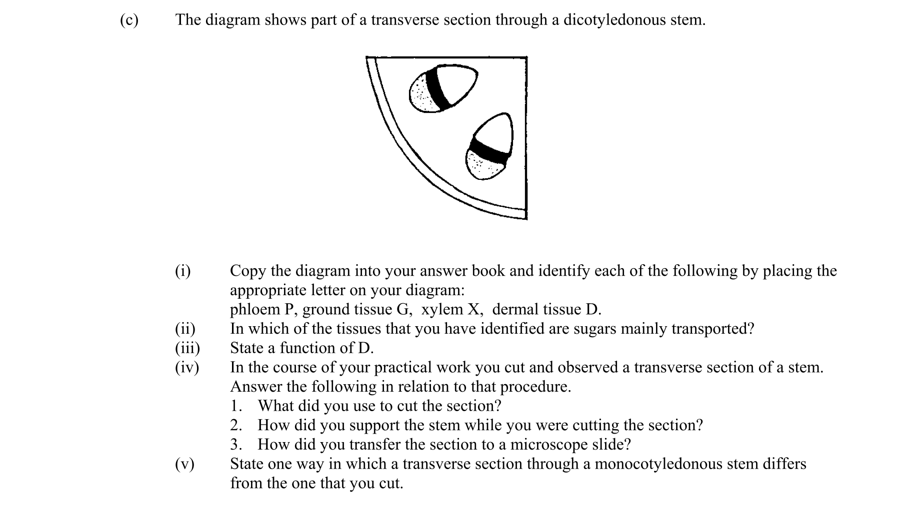 Question 05d82e52-900a-4b22-a21c-817fee566b06