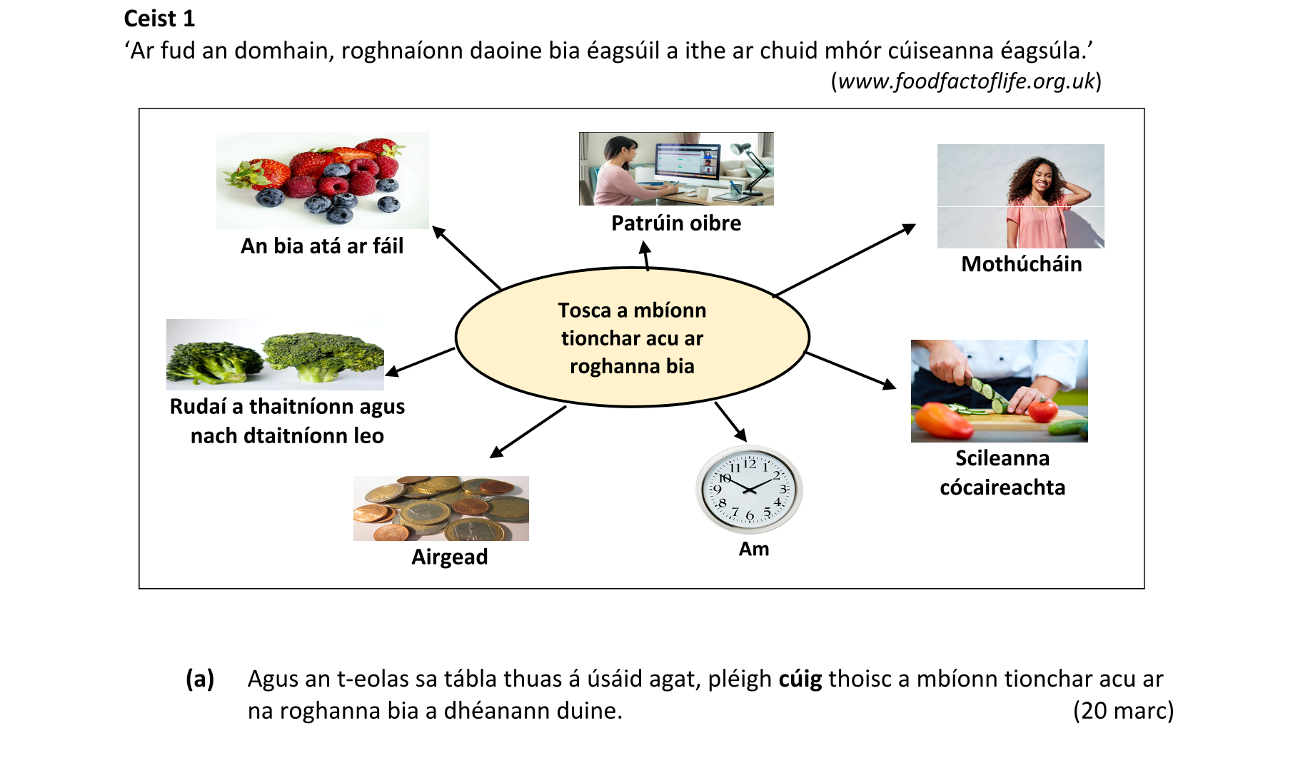 Question 8fa35c6c-7864-4fbe-8d1b-5e4708efc437