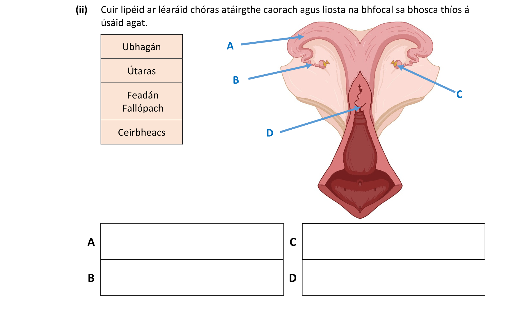 Question 44cf3664-4bcf-4349-9f28-45bf972cf295