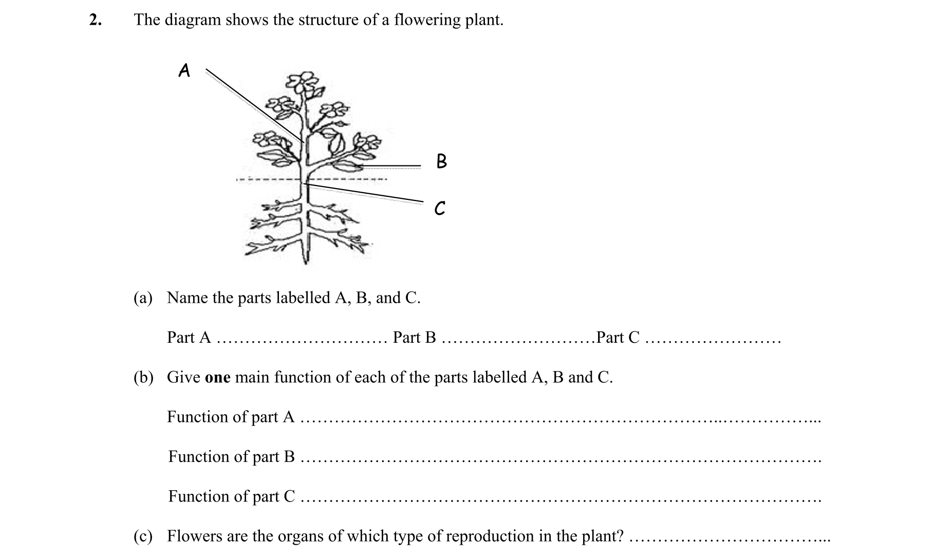 Question 0e4a846d-25bd-420b-9689-6e53e7fa9a24