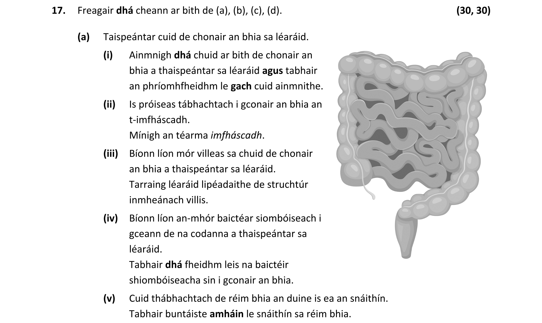 Question 590e5ea2-3504-4d4b-8b9d-2d7aafe93720