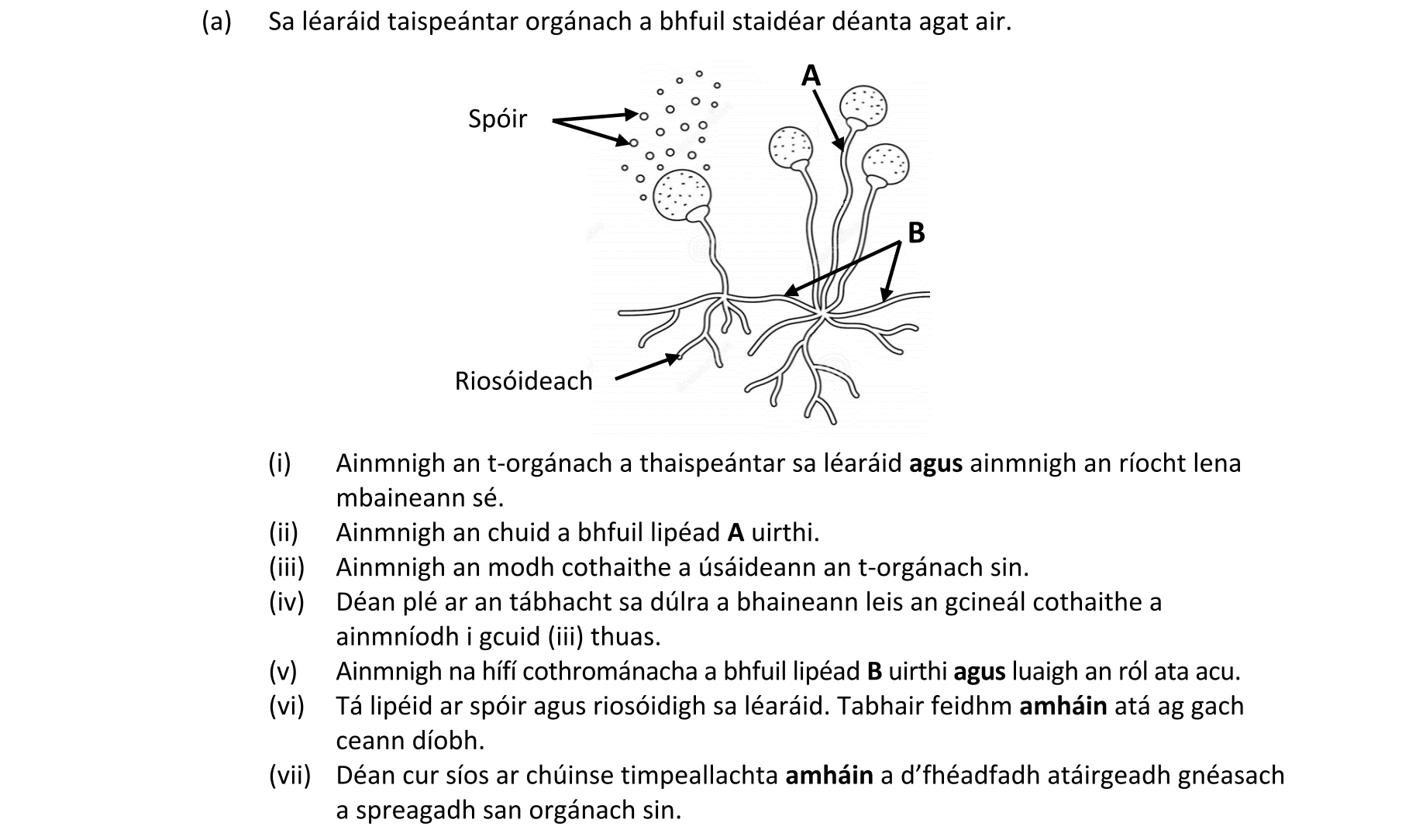 Question aa4a8571-7a2d-41d2-8fd1-37850c6592a0