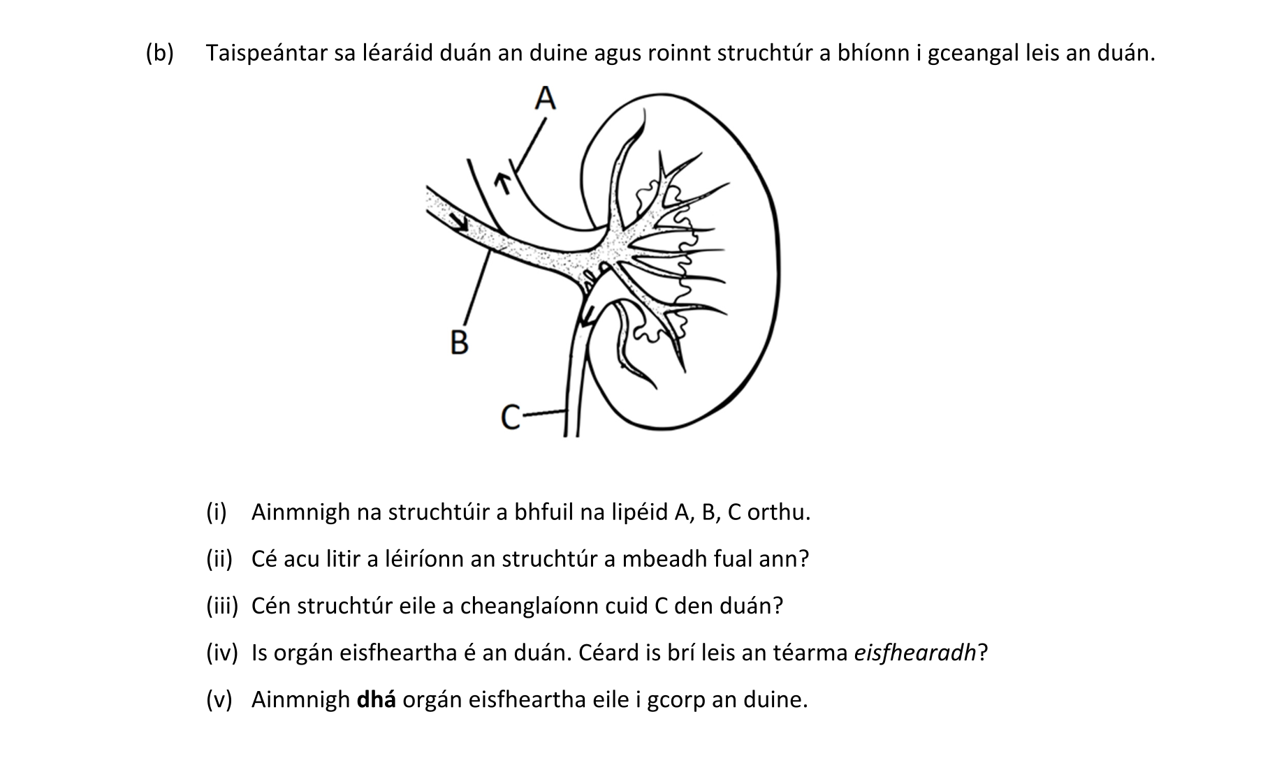 Question c86e5d4a-3edf-4f95-a1bc-61da903f8f6e