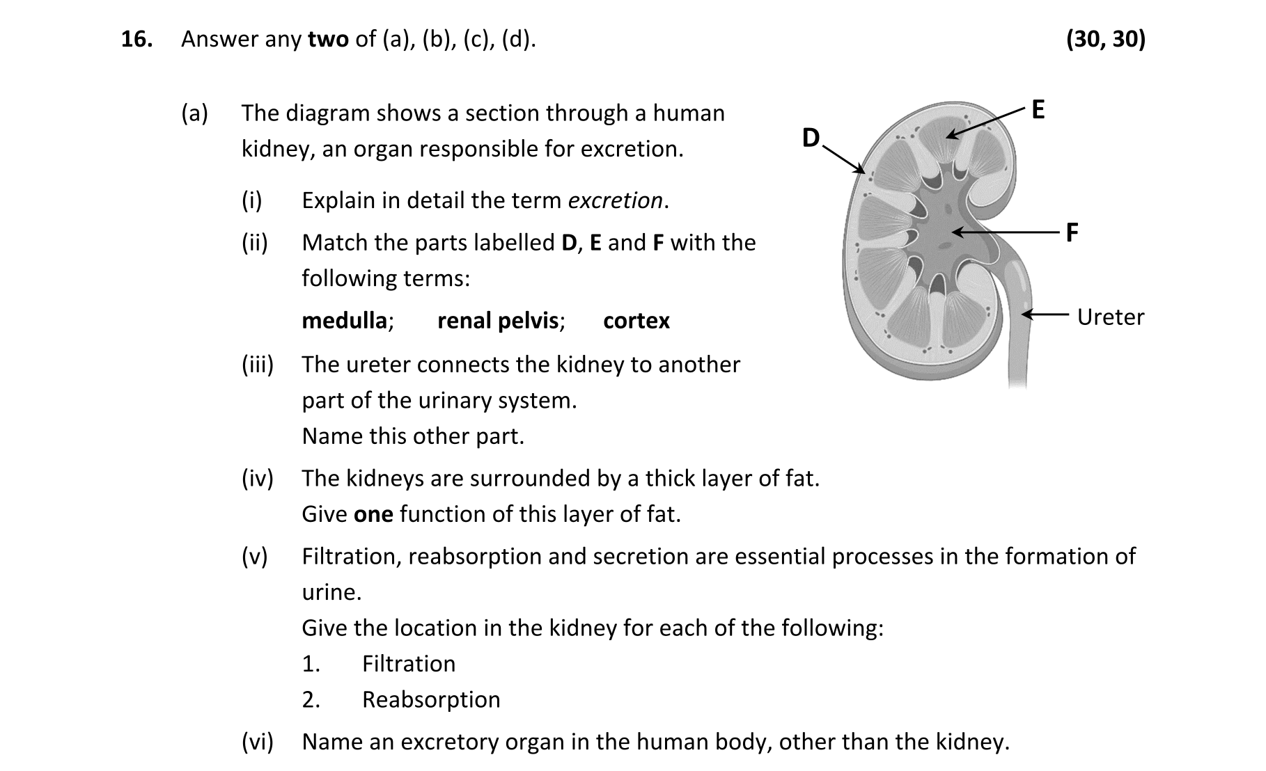 Question 3e84d528-c75f-4ea9-ad87-4255a4cf90a1