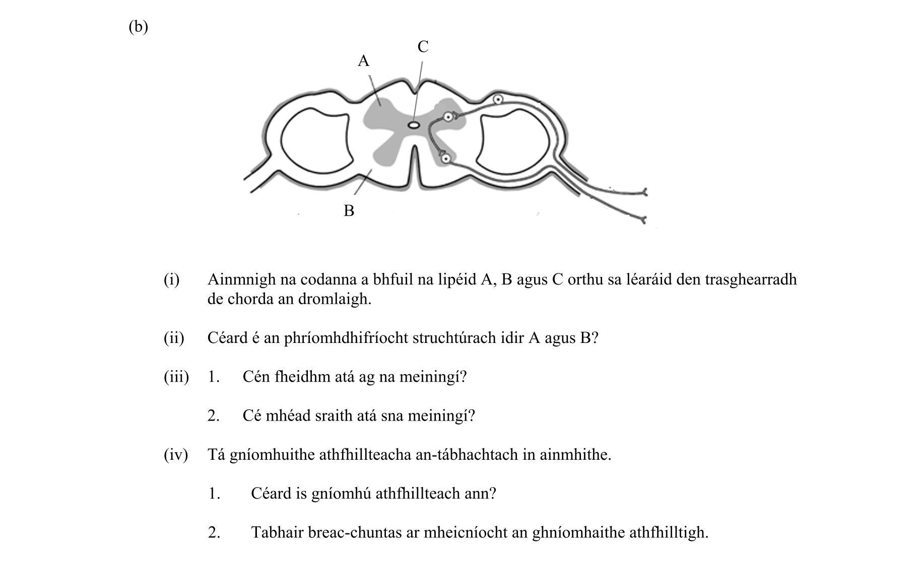 Question 01b61a70-270c-455e-8ea4-5202d9adb1e6