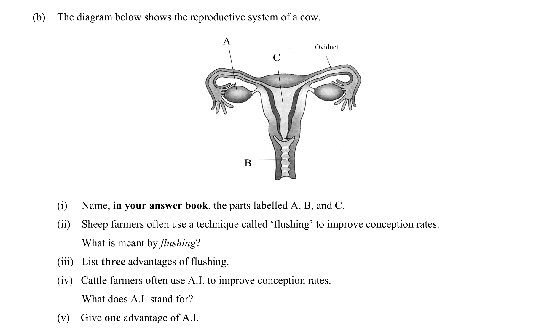 Question b582d23f-5717-4b6d-90c3-d25989ea6a31
