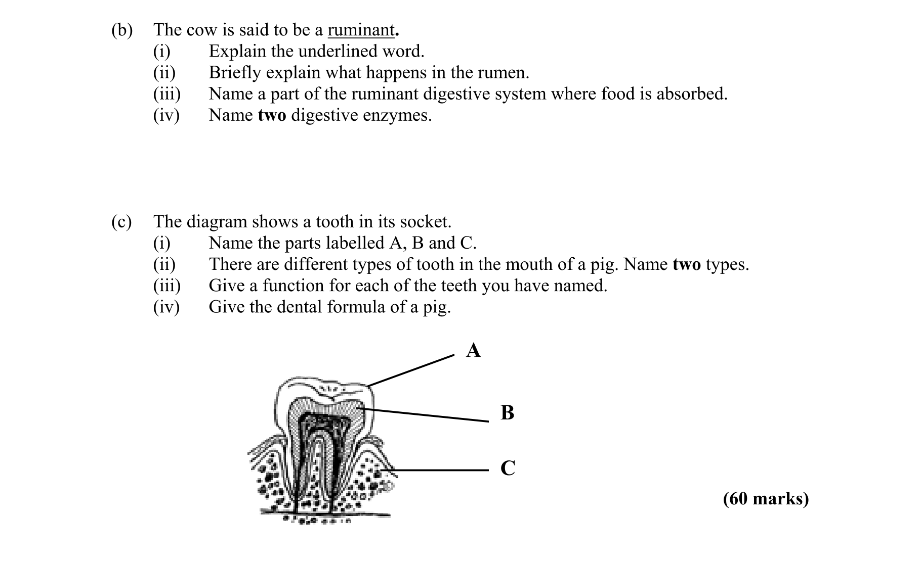 Question a4810351-0350-44c2-a201-0f46e637075c