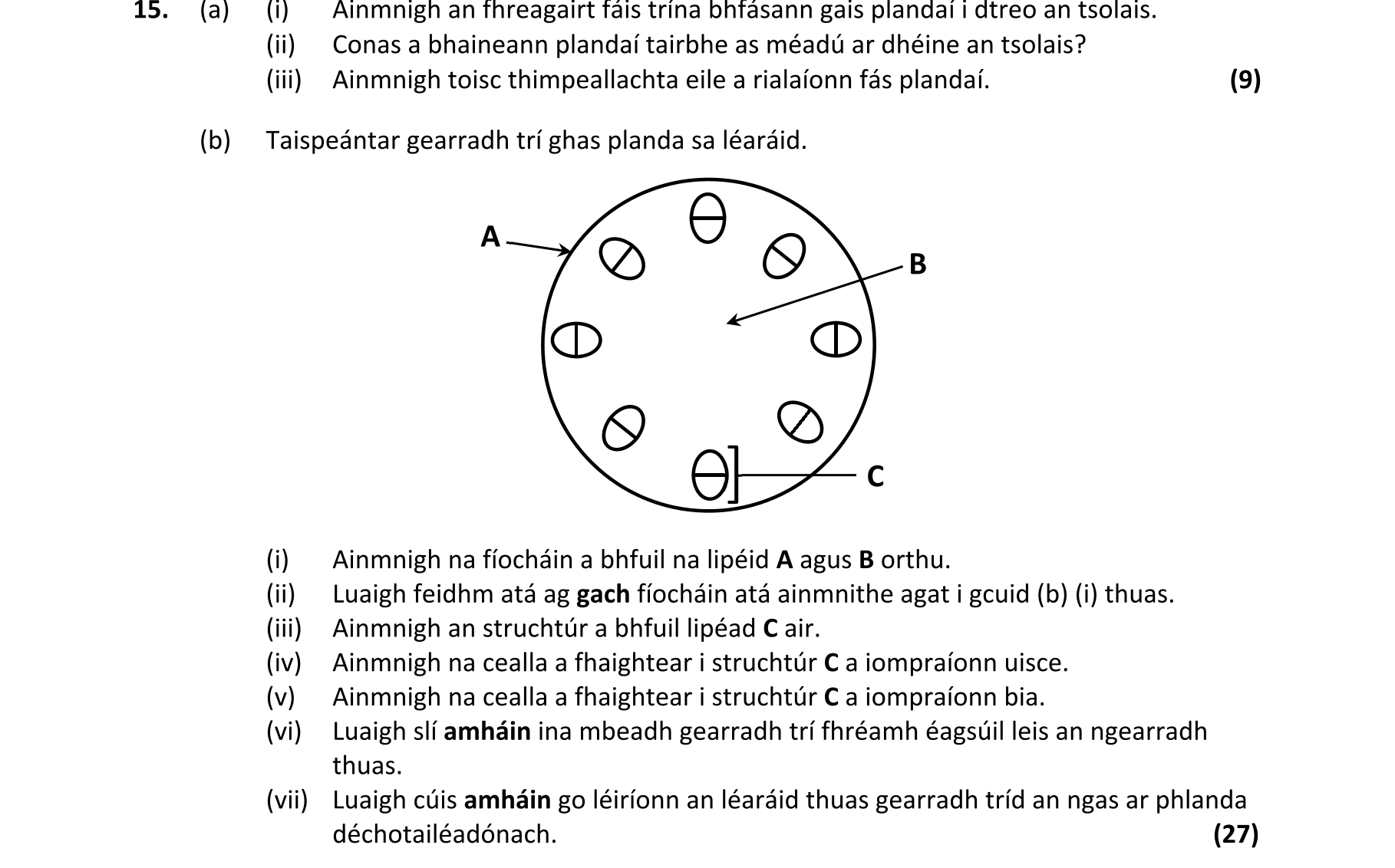 Question b94ae950-f9a7-445a-84b7-25ea89db3dd7