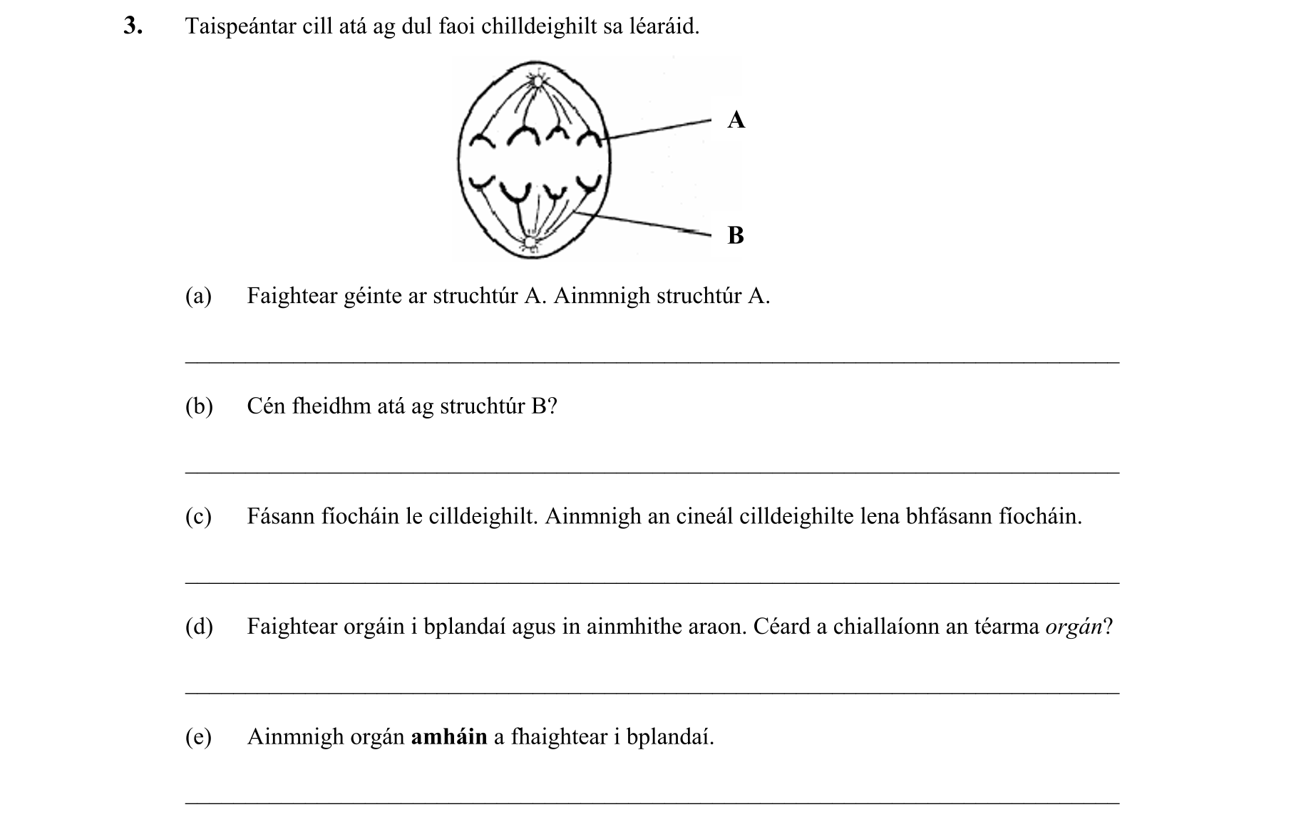 Question 56ea527d-f5e5-4270-8799-8c5b261068d6