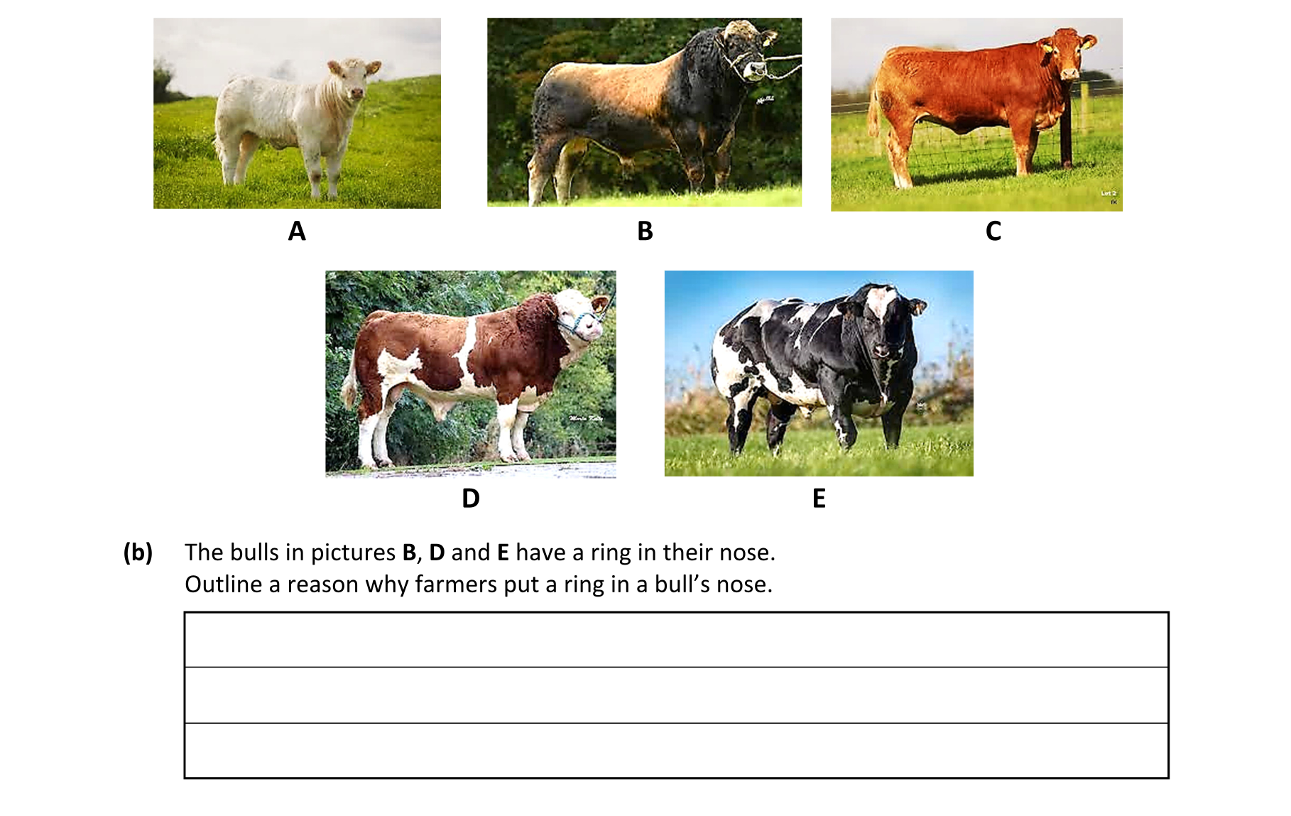 Question 2b4c6c9c-a5de-4615-a201-c42d837b6719