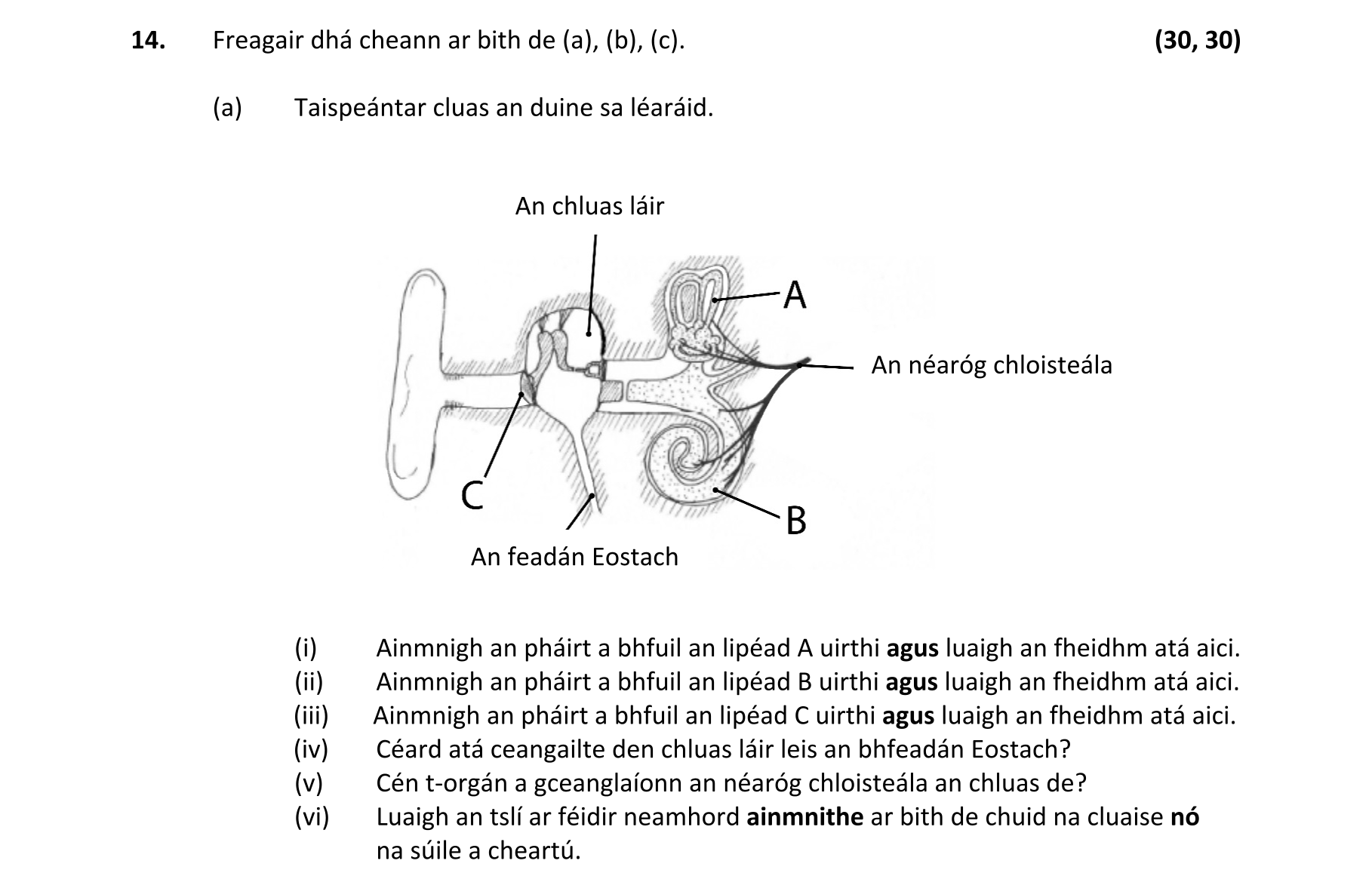Question c1ccc5b3-957d-4898-a596-4a5b45eae287