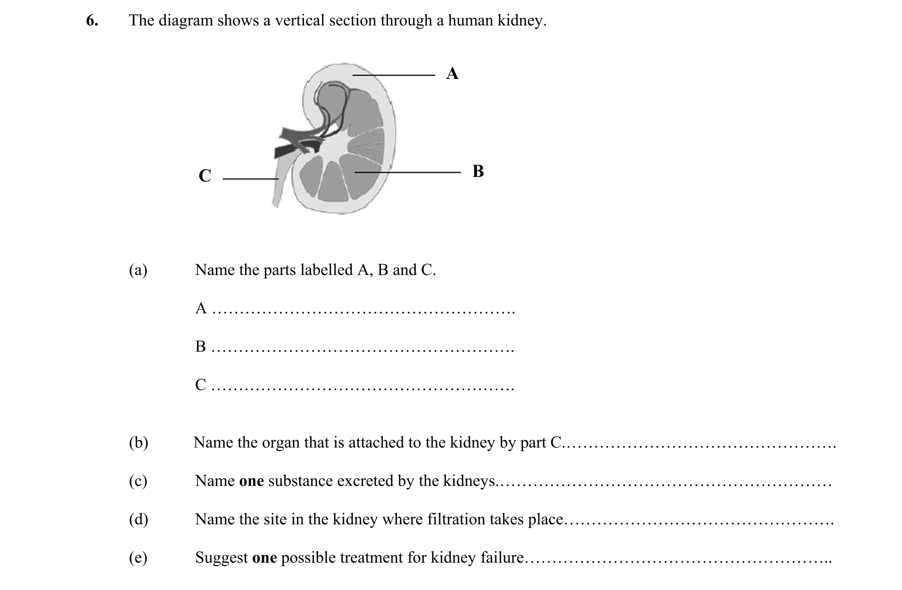 Question d26ae437-e64f-4df5-ae22-d44a9ce3f860