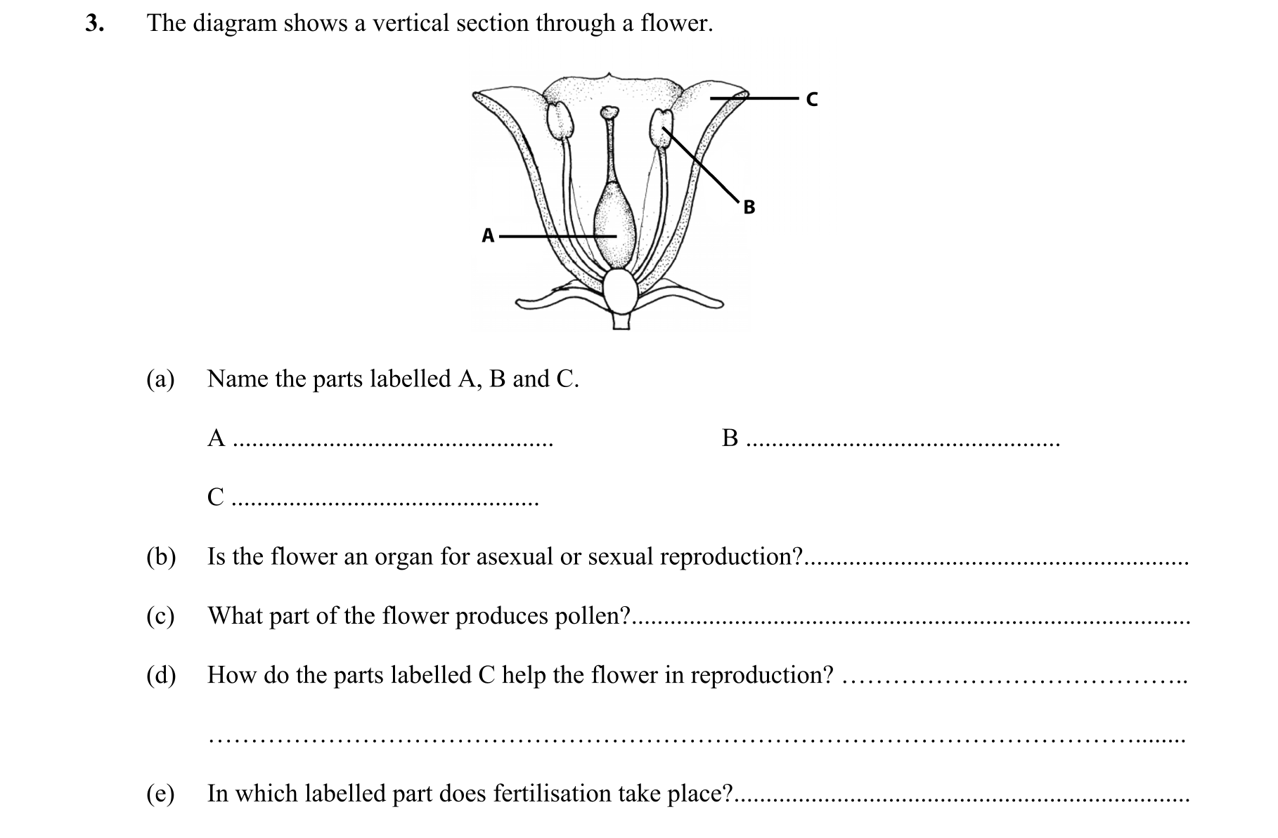 Question 4e7a0dbc-def7-4e44-a6a4-e039d8839af9