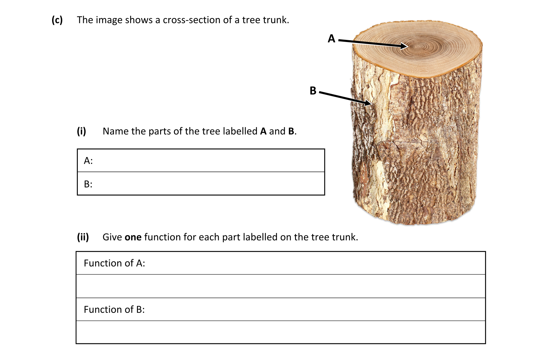 Question f485141e-c186-4b98-b424-3fc00d28297f