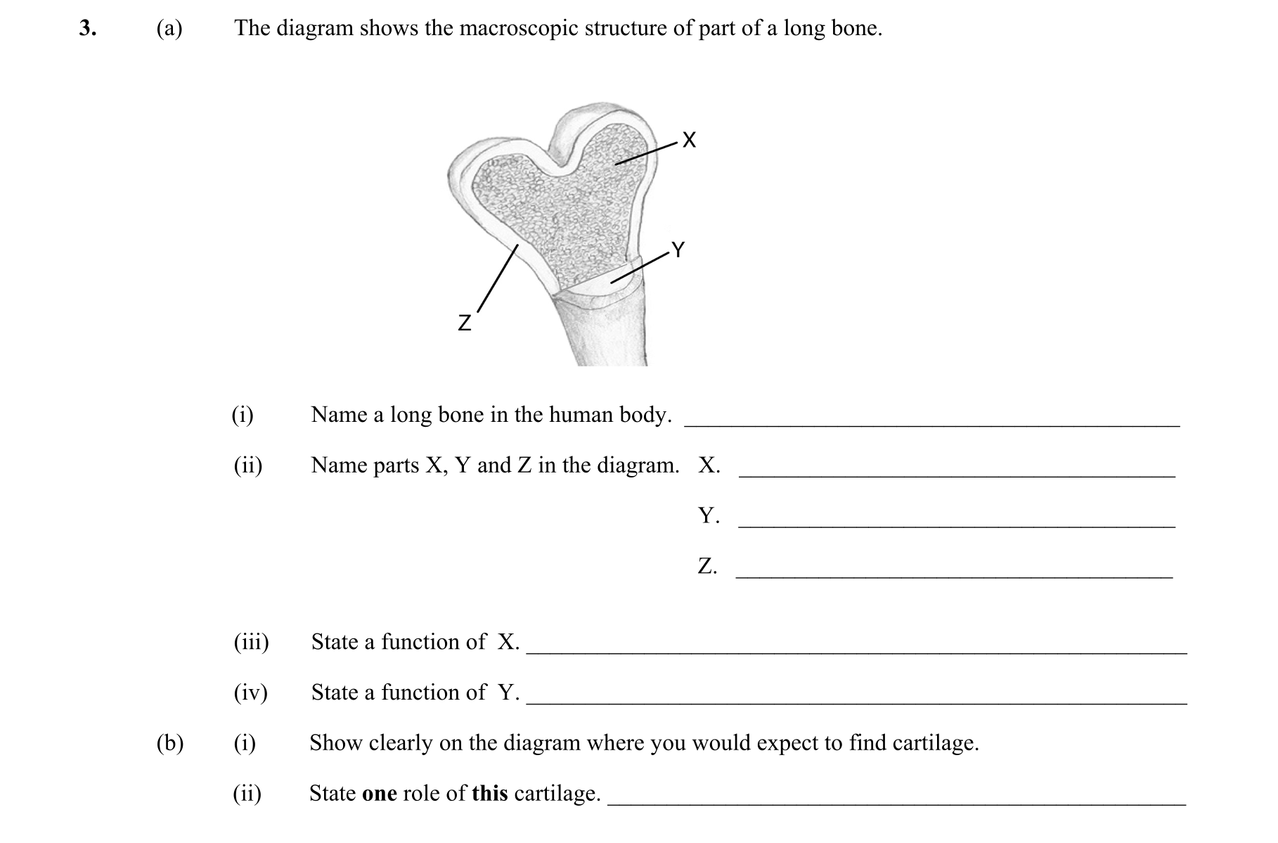Question df44b92b-c86f-46e5-a913-2779736adc59