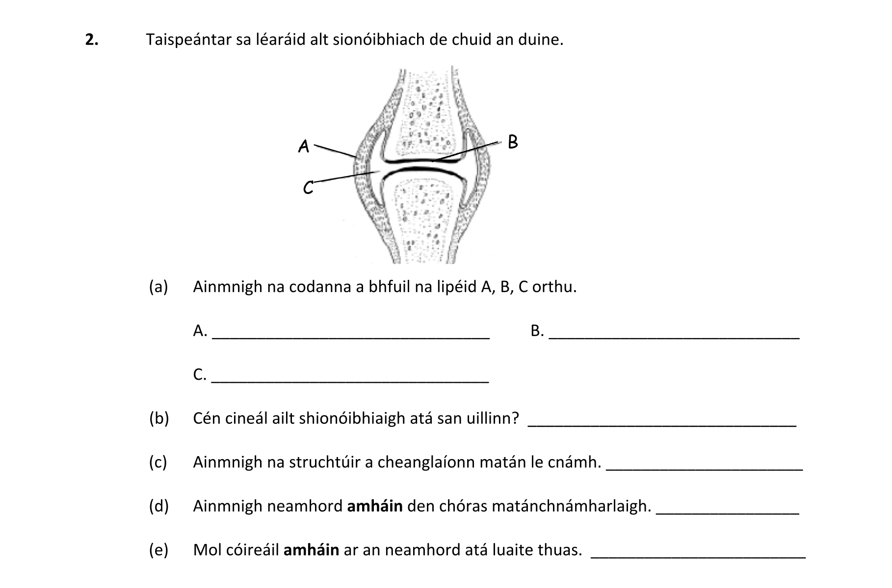 Question eb142014-72f6-4e40-b99f-31e4345d8dda