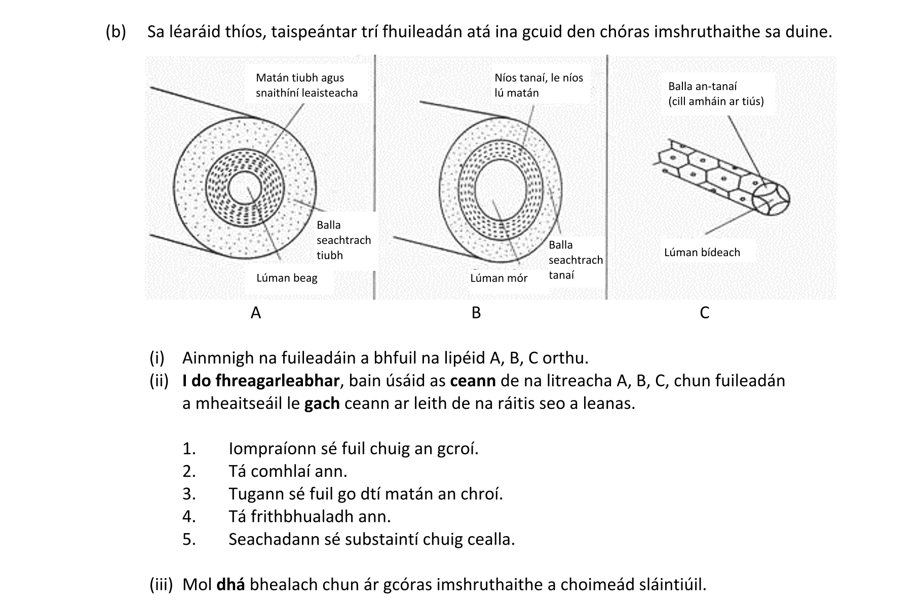 Question 2d458cf1-8886-4567-aac9-fca8a9a31d4c