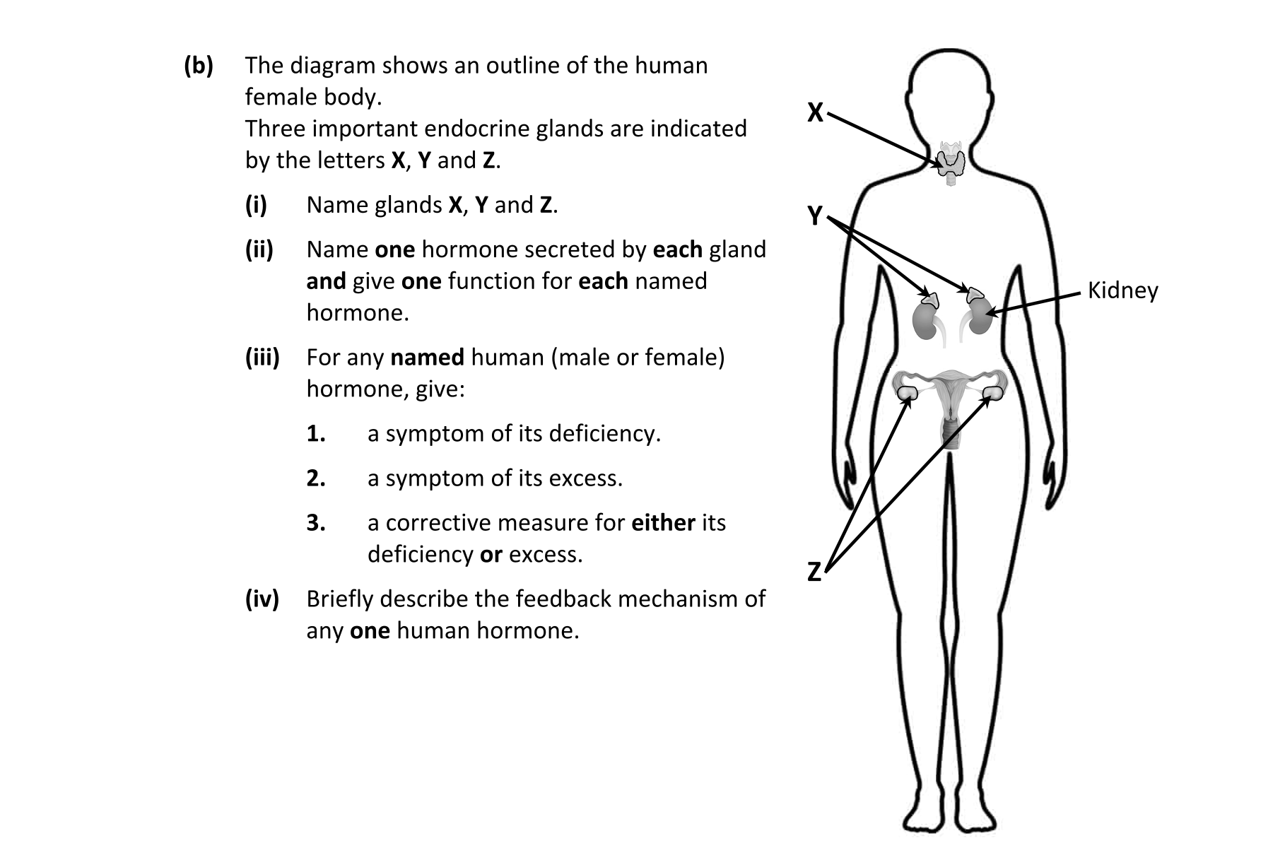 Question bbd545ed-4cec-4c40-8c4f-d86fb861b910