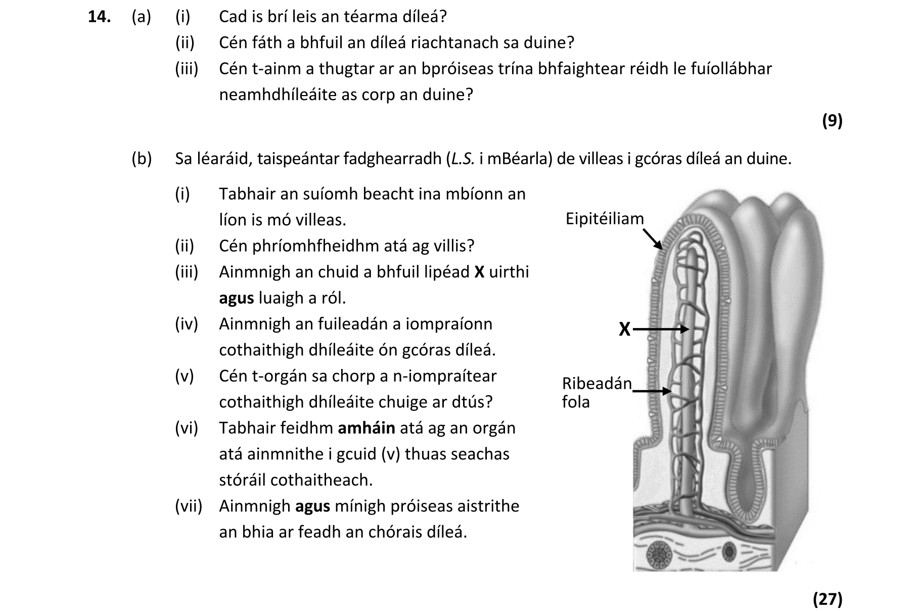 Question 9b5fb2a6-d219-4b35-9033-73da8b4b9c07