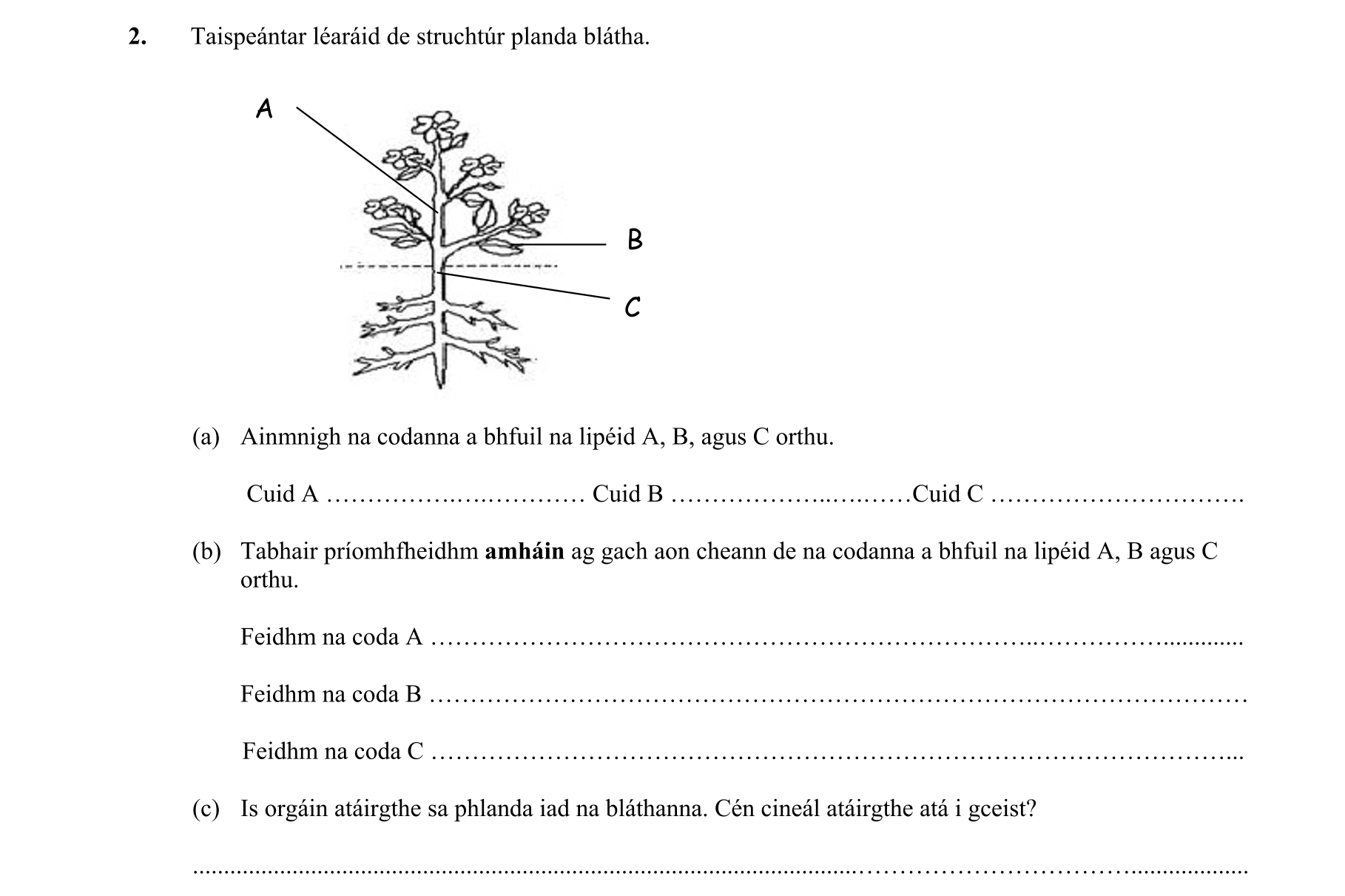 Question 7d45013b-0cf7-48f4-b0da-69e20242e718