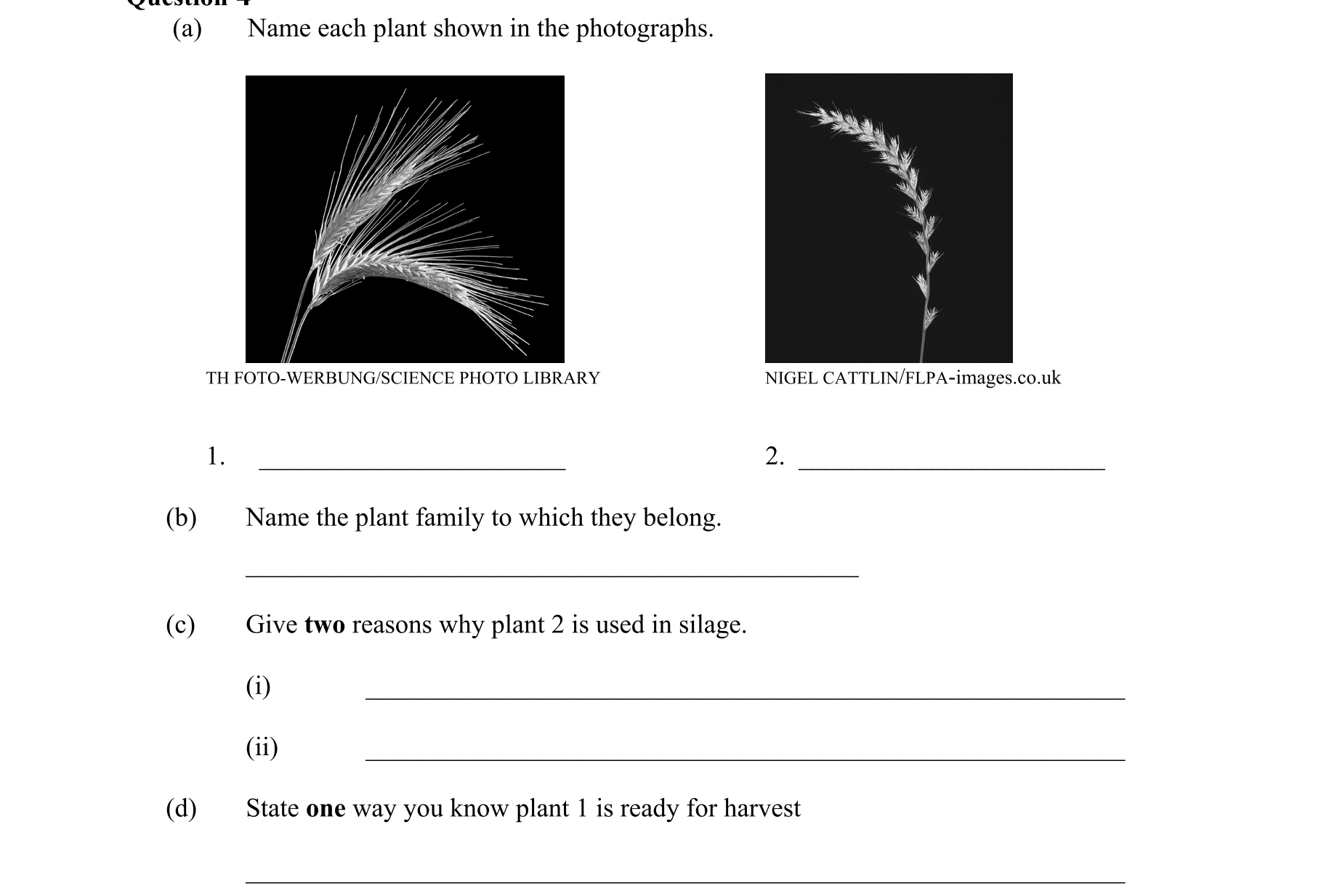 Question 5862e79e-c976-4c67-b30f-4570f706ade4