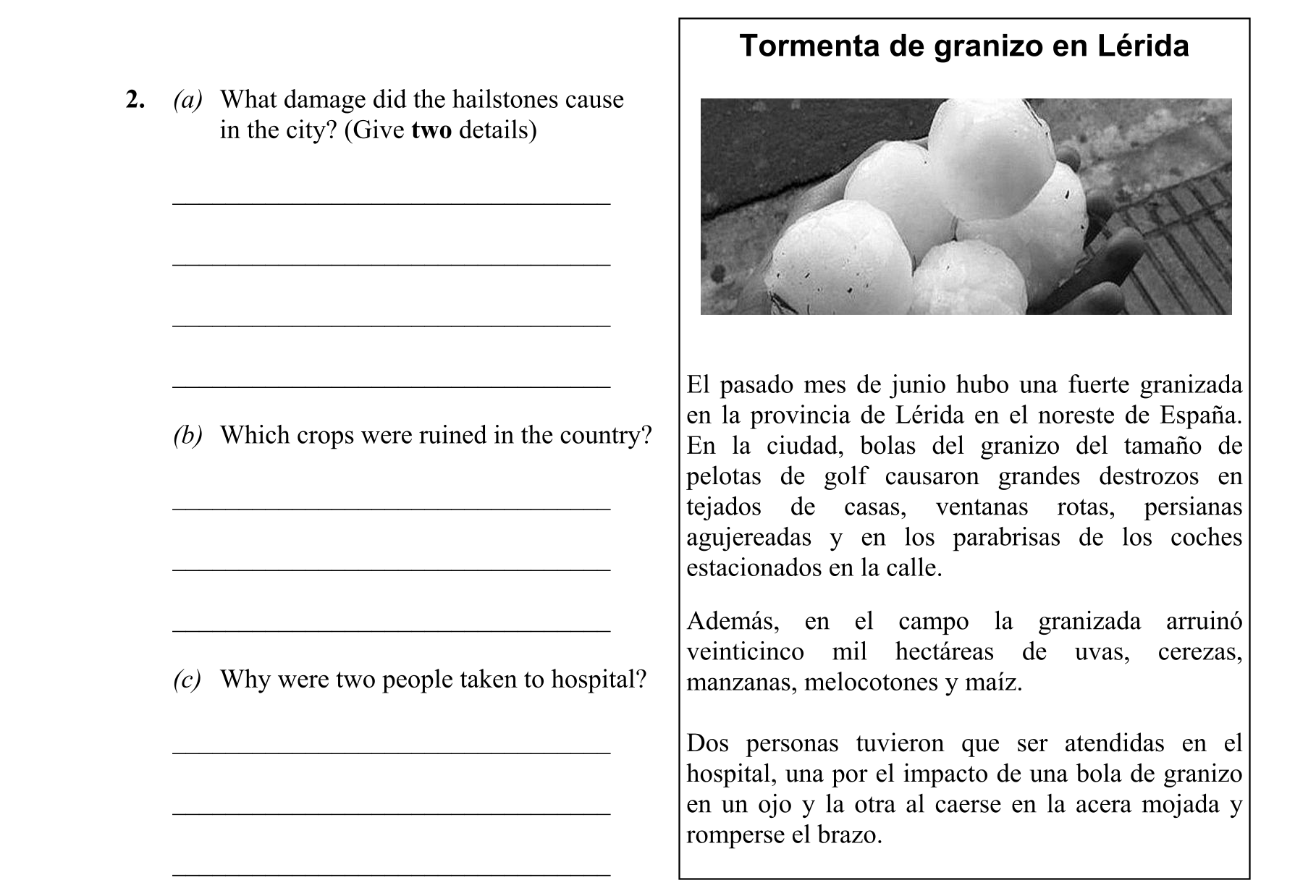 Question 4d98293e-0a09-47cc-9862-76eb6e68cd43