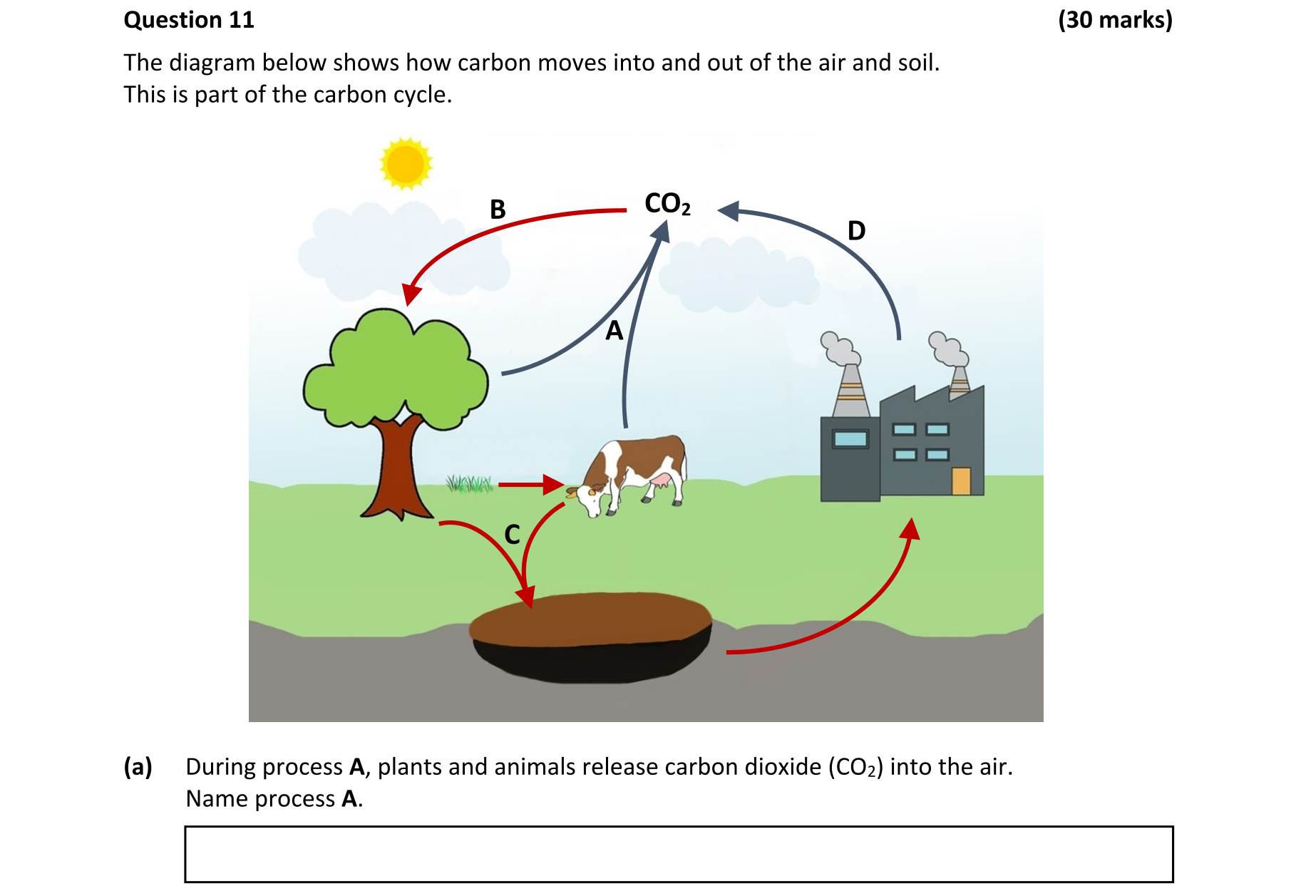 Question f46d2c65-7b44-42b3-a52e-e01af282bcbe