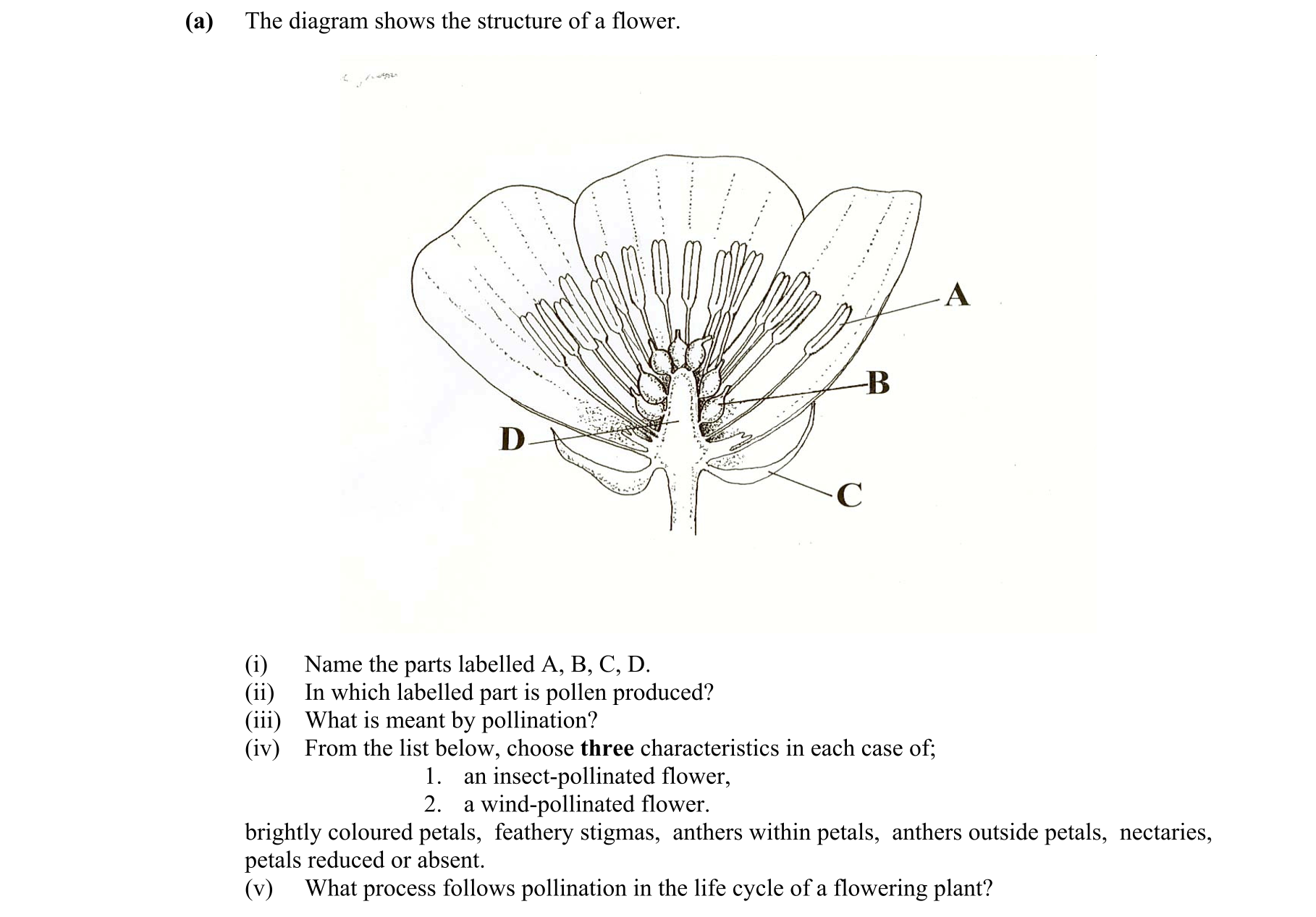Question 5eaaf7c6-7543-4572-971b-f1df0d97fc72