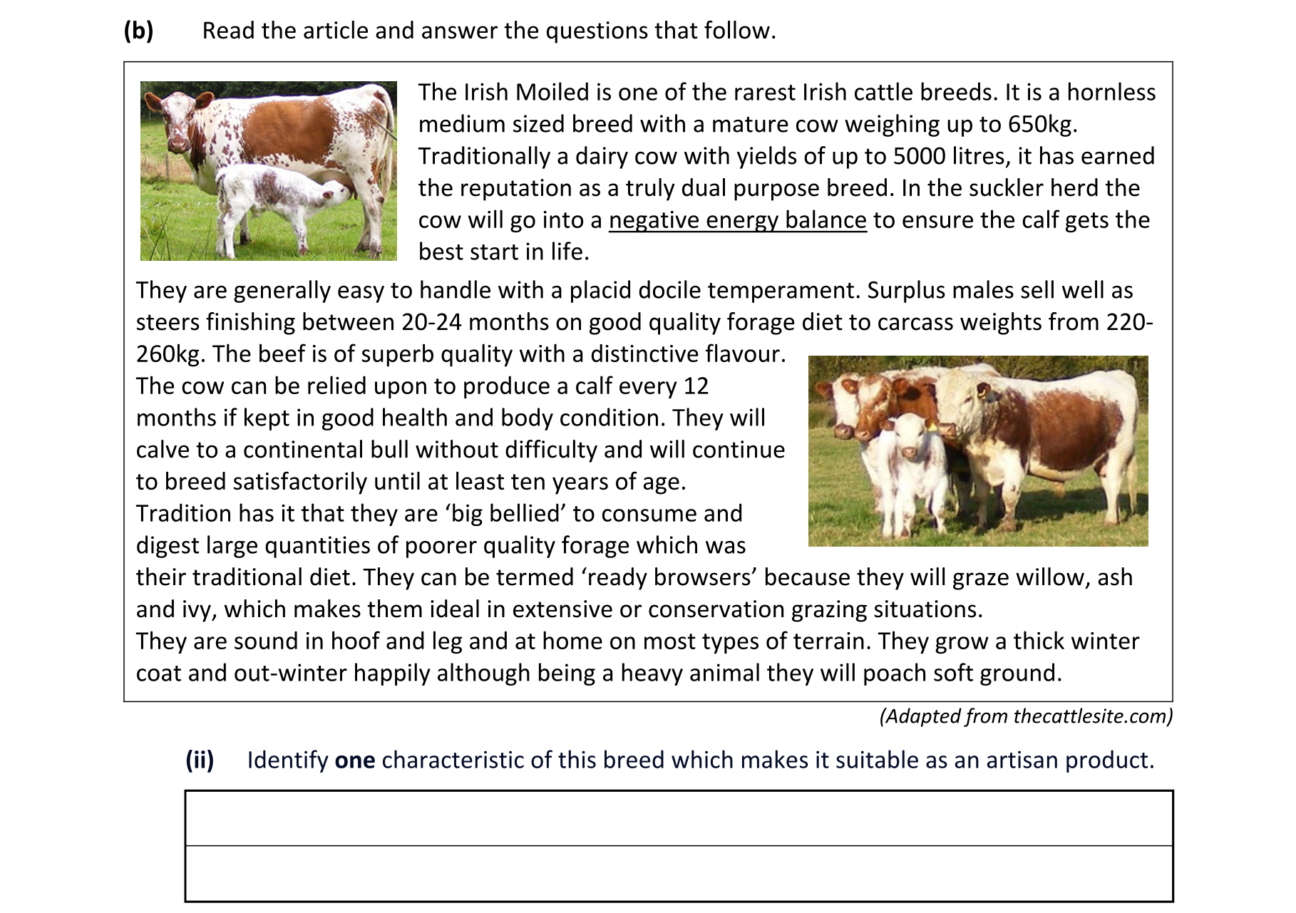 Question f8759128-e0fa-4d3a-93db-6127f7b1a75a