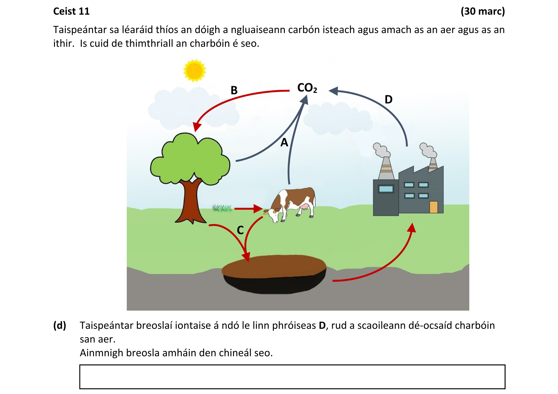 Question 6eeaf0ca-83a9-4242-bd7a-99ef5197eea3