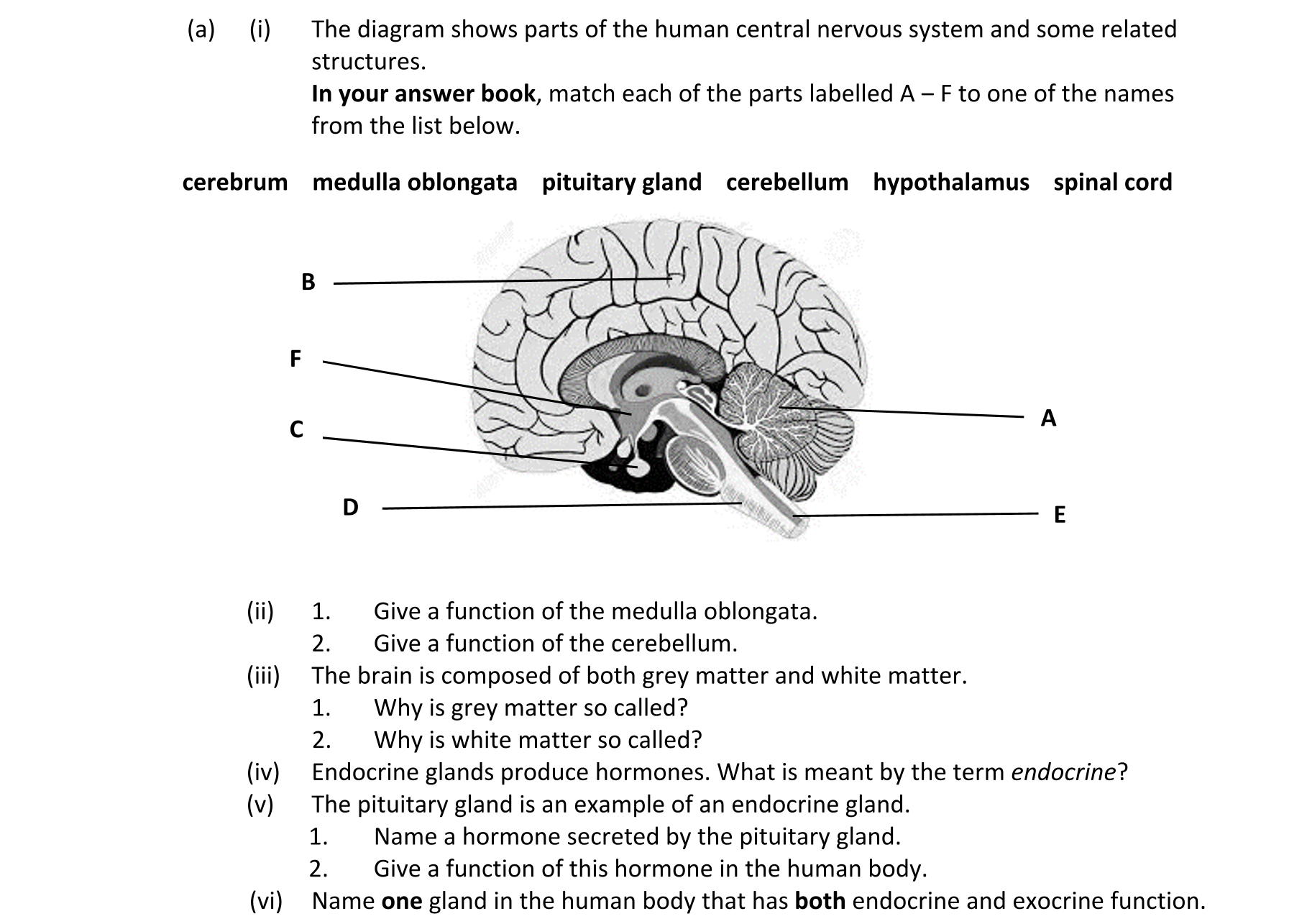 Question 924e20fc-f5dd-45b7-b141-25529a9e5646