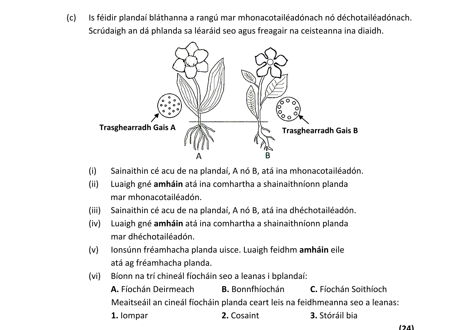 Question 4da8c74c-b35a-468f-b281-5aeca2043117