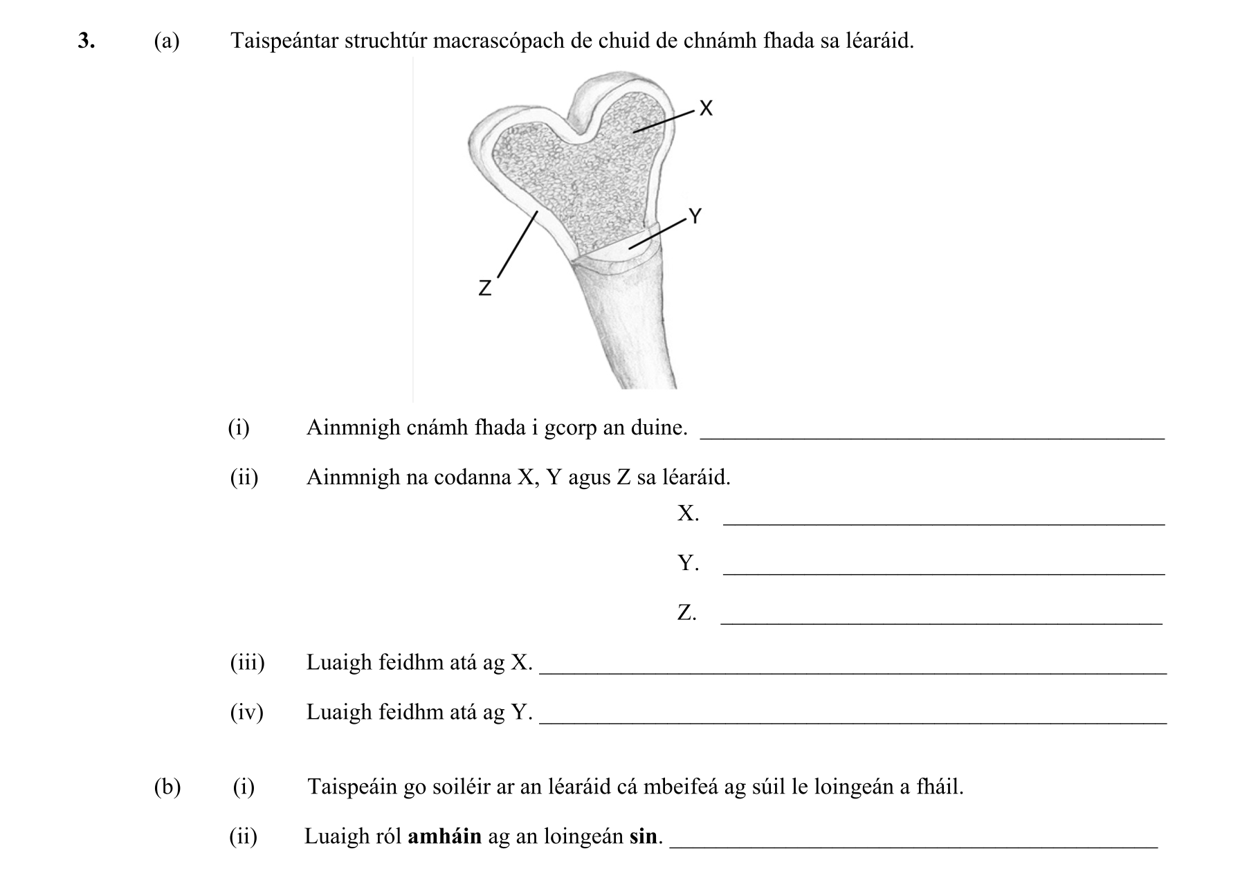 Question 4cf44ac9-afb1-40d1-a86d-90b6487c460f