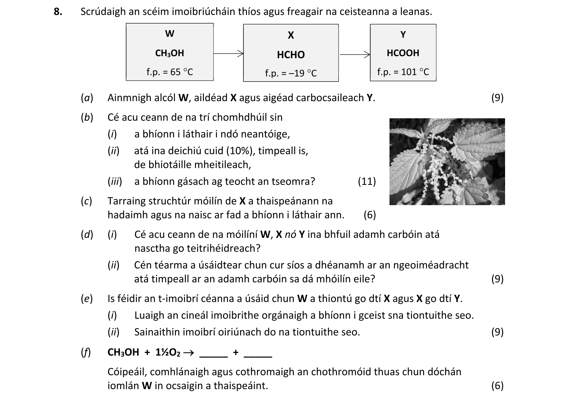 Question b19a7191-d8b7-44fa-bf89-9a44a583ce04