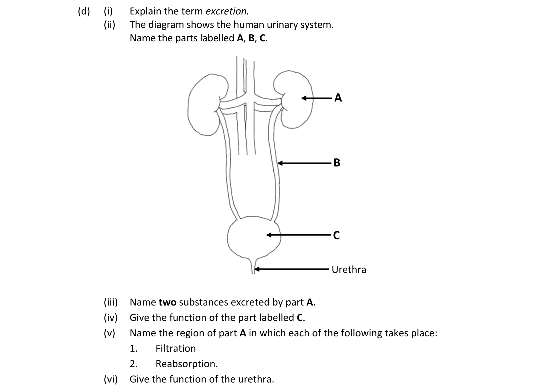Question 9a2a9648-3ef7-444a-8961-68bfc9c45090