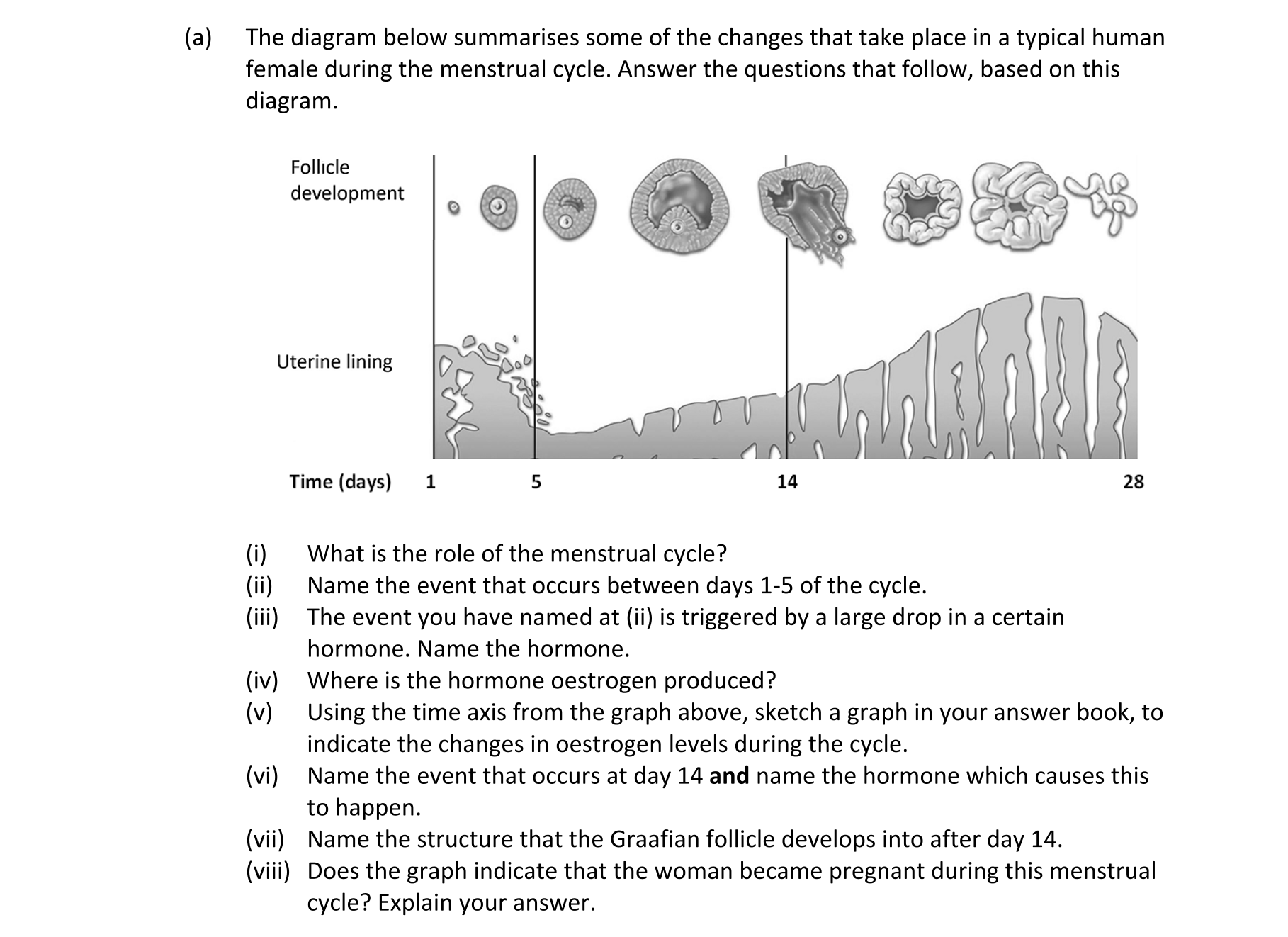 Question 3f2895a9-1253-495f-a25d-52c420aa3a08