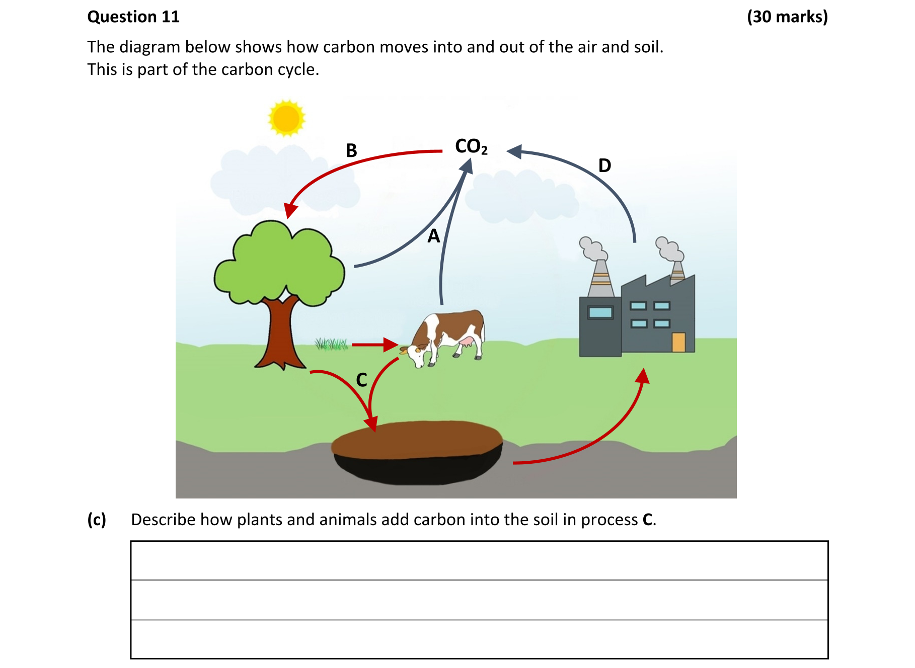 Question 8cbf99f2-d3b3-469d-9e5f-040654687b81